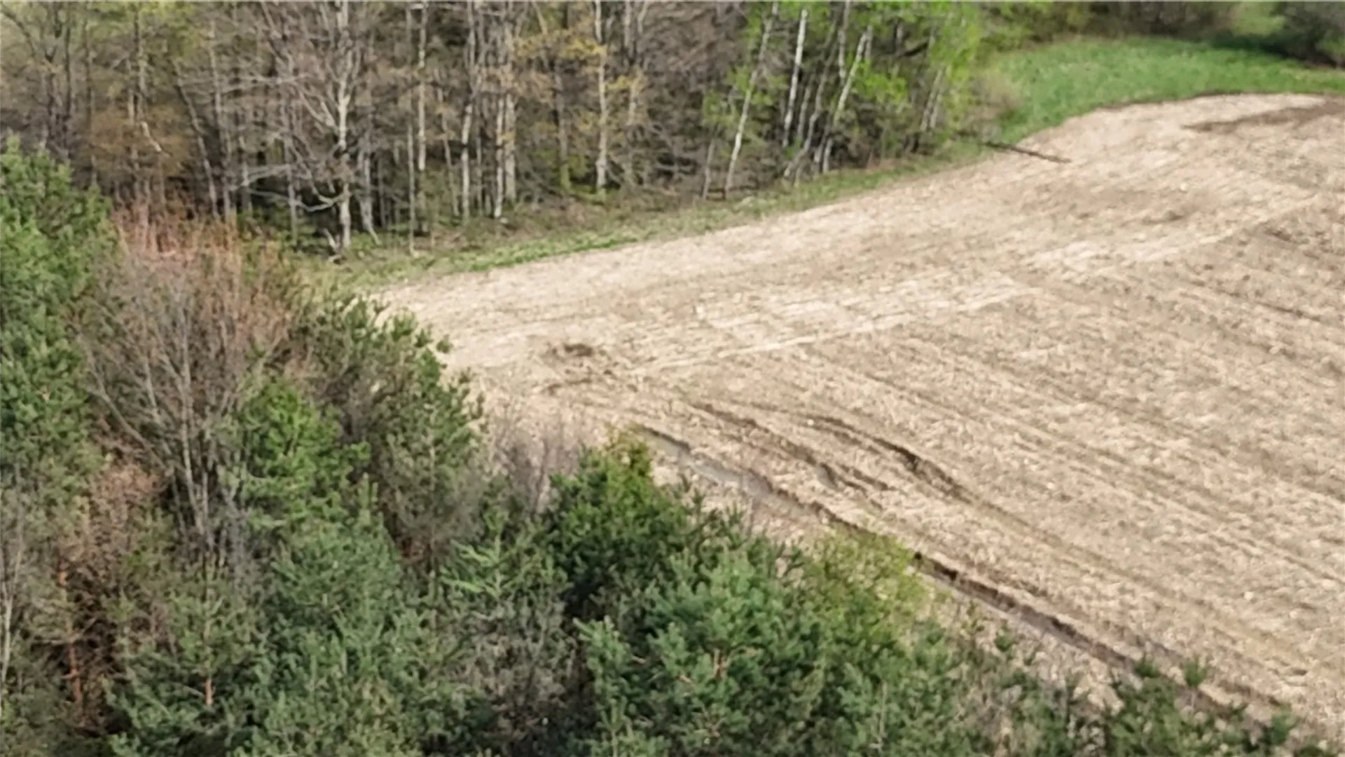 Property at 14245 Collin Ctr Zoar Road, Collins, NY 14034 28