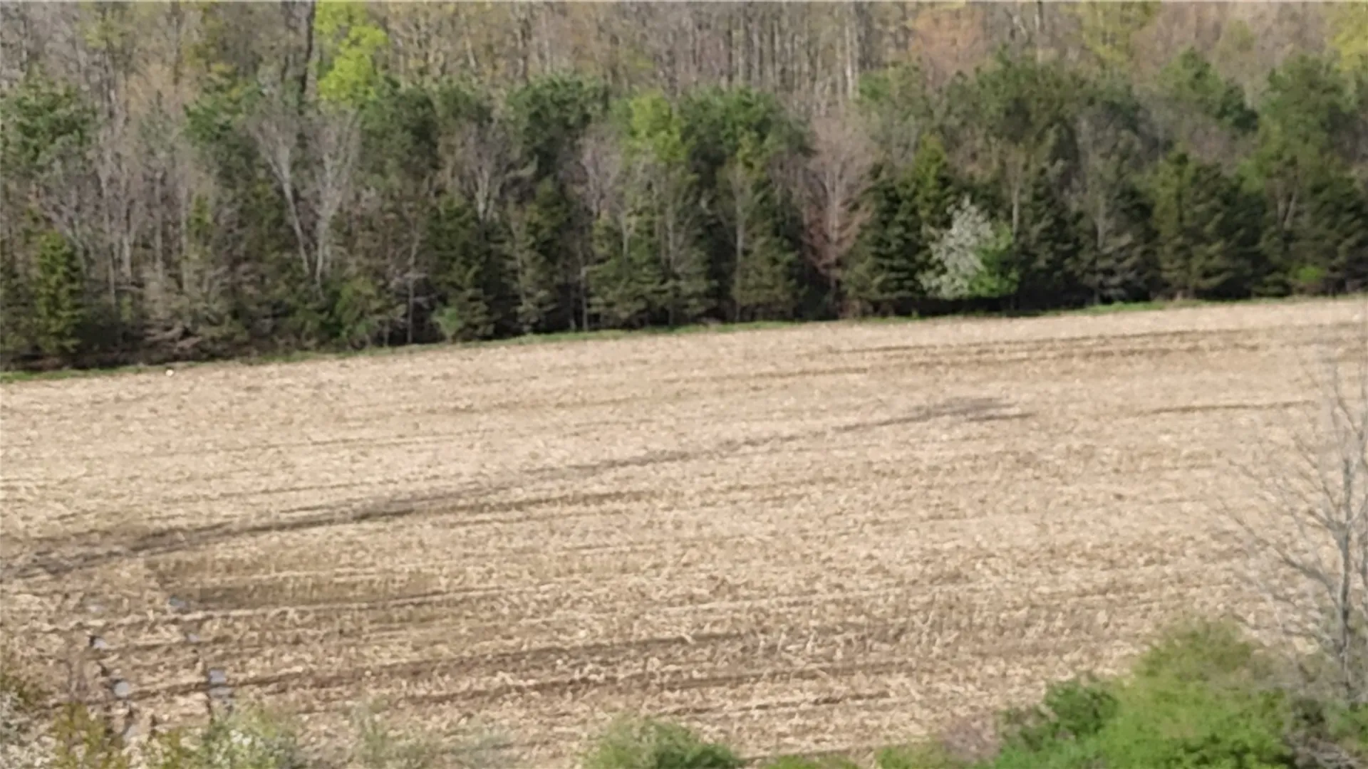 Property at 14245 Collin Ctr Zoar Road, Collins, NY 14034 29