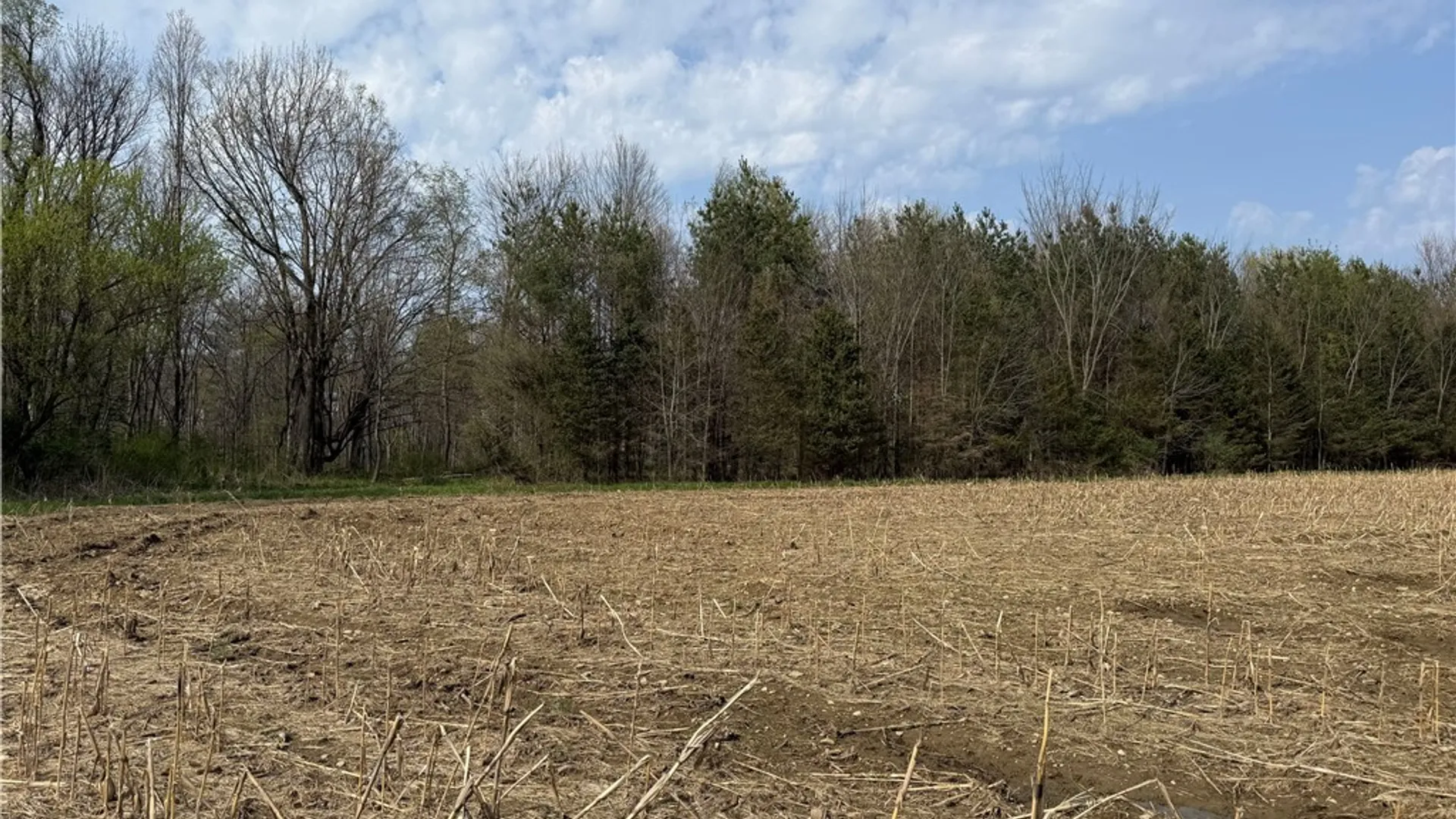 Property at 14245 Collin Ctr Zoar Road, Collins, NY 14034 3