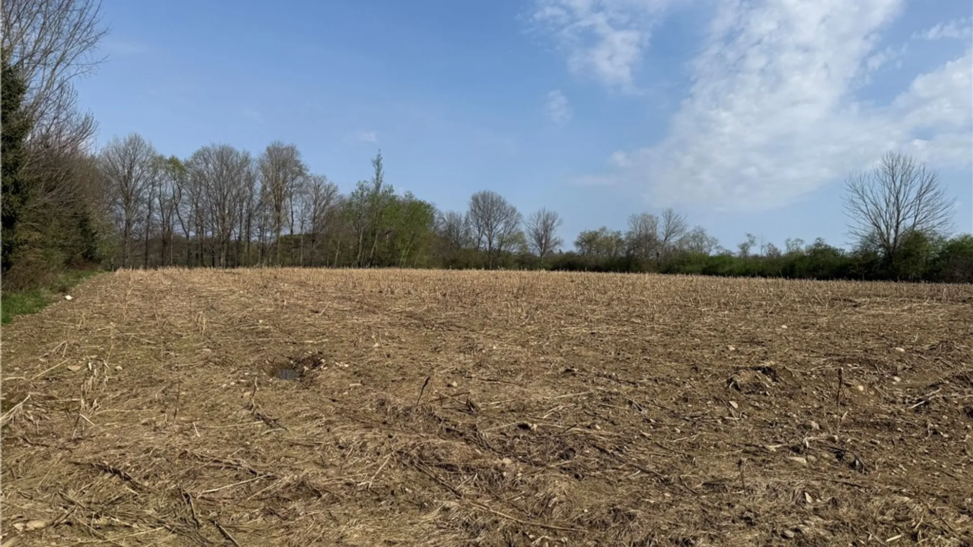 Property at 14245 Collin Ctr Zoar Road, Collins, NY 14034 4