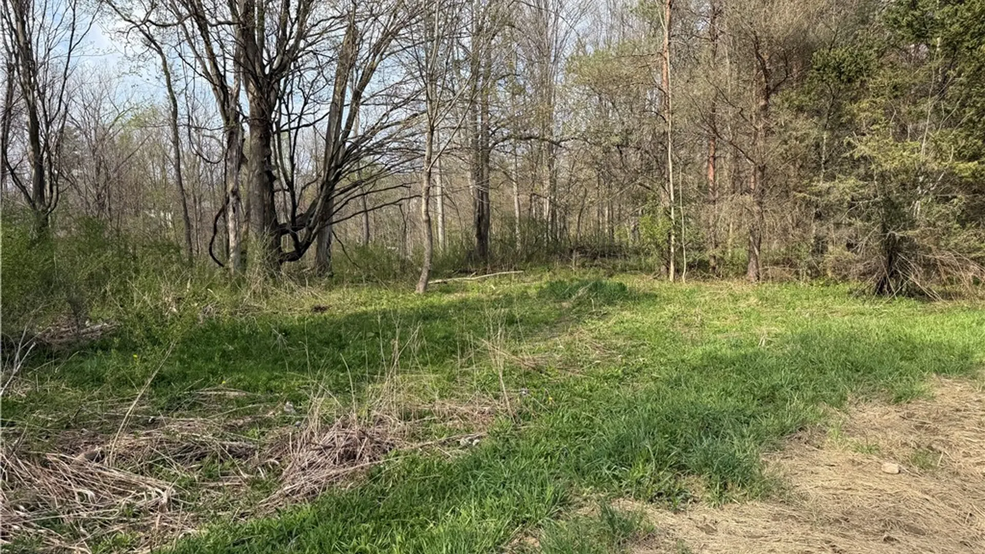 Property at 14245 Collin Ctr Zoar Road, Collins, NY 14034 5