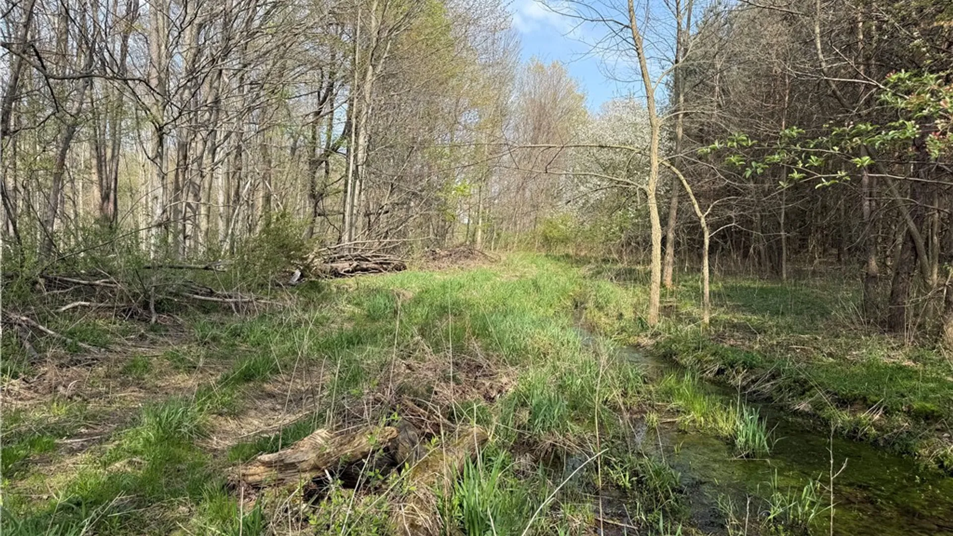 Property at 14245 Collin Ctr Zoar Road, Collins, NY 14034 8