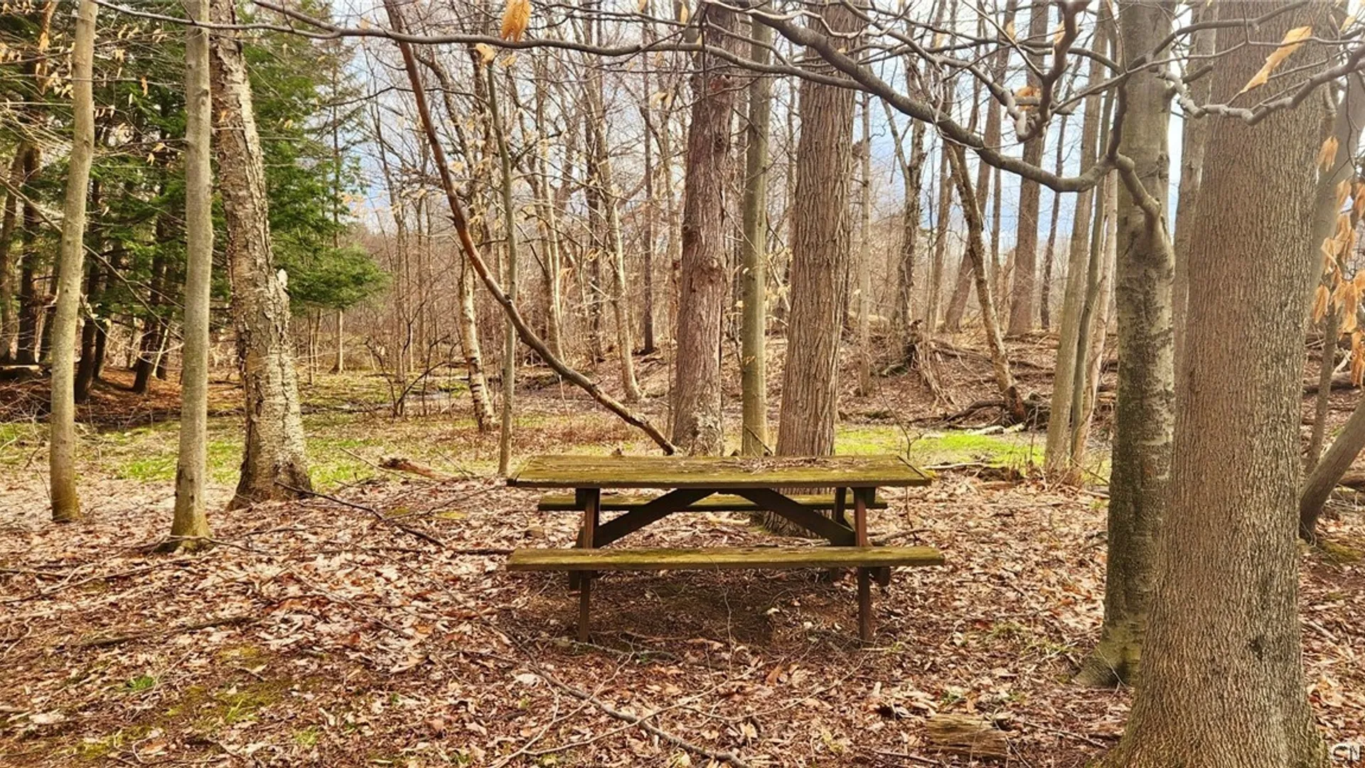 Property at 2011 Eno Road, Sterling, NY 13111 30