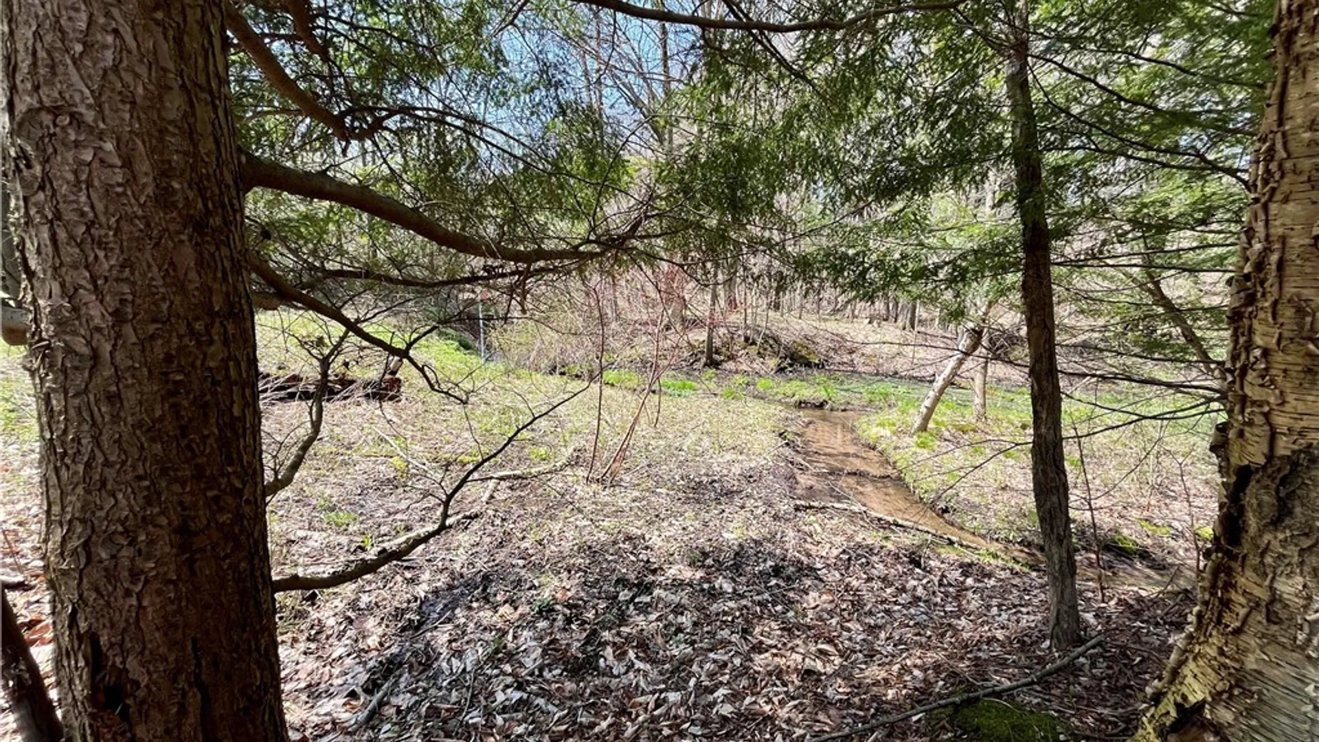 Property at 2011 Eno Road, Sterling, NY 13111 31