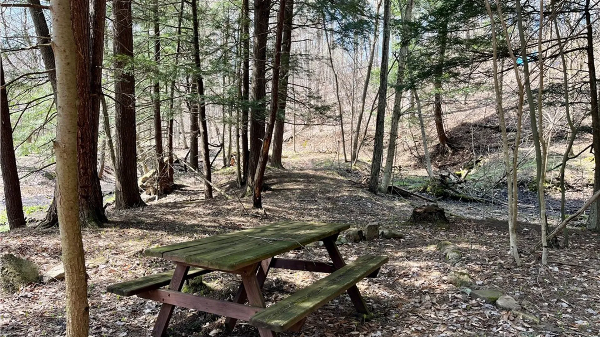 Property at 2011 Eno Road, Sterling, NY 13111 33