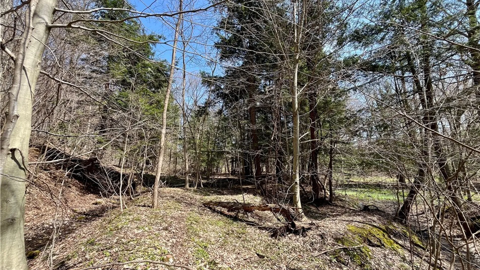 Property at 2011 Eno Road, Sterling, NY 13111 34