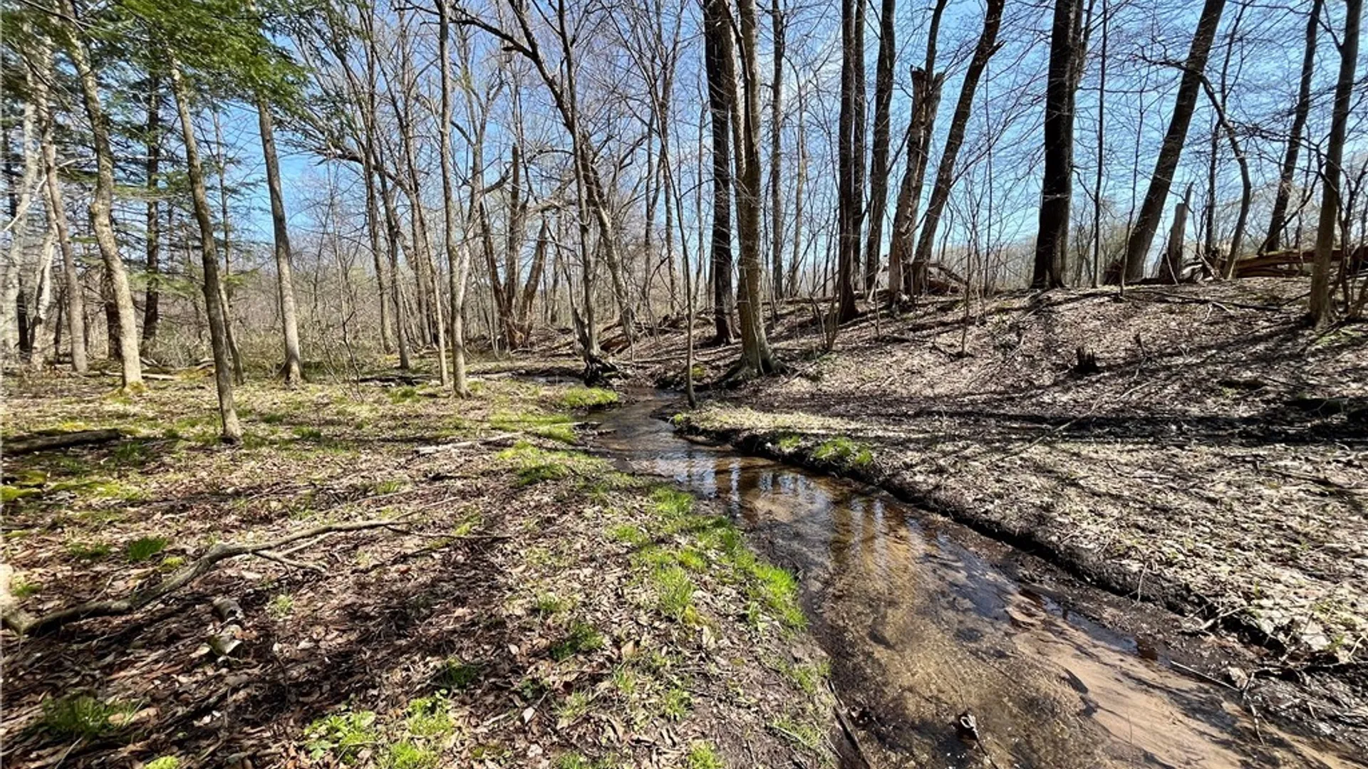 Property at 2011 Eno Road, Sterling, NY 13111 35