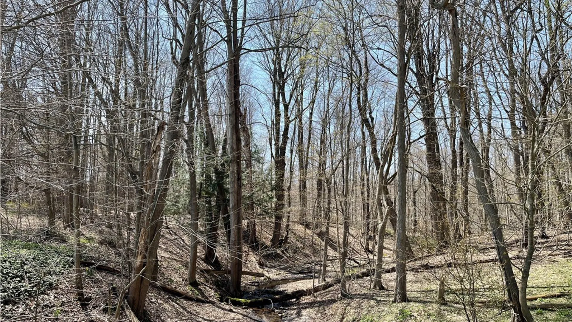 Property at 2011 Eno Road, Sterling, NY 13111 36