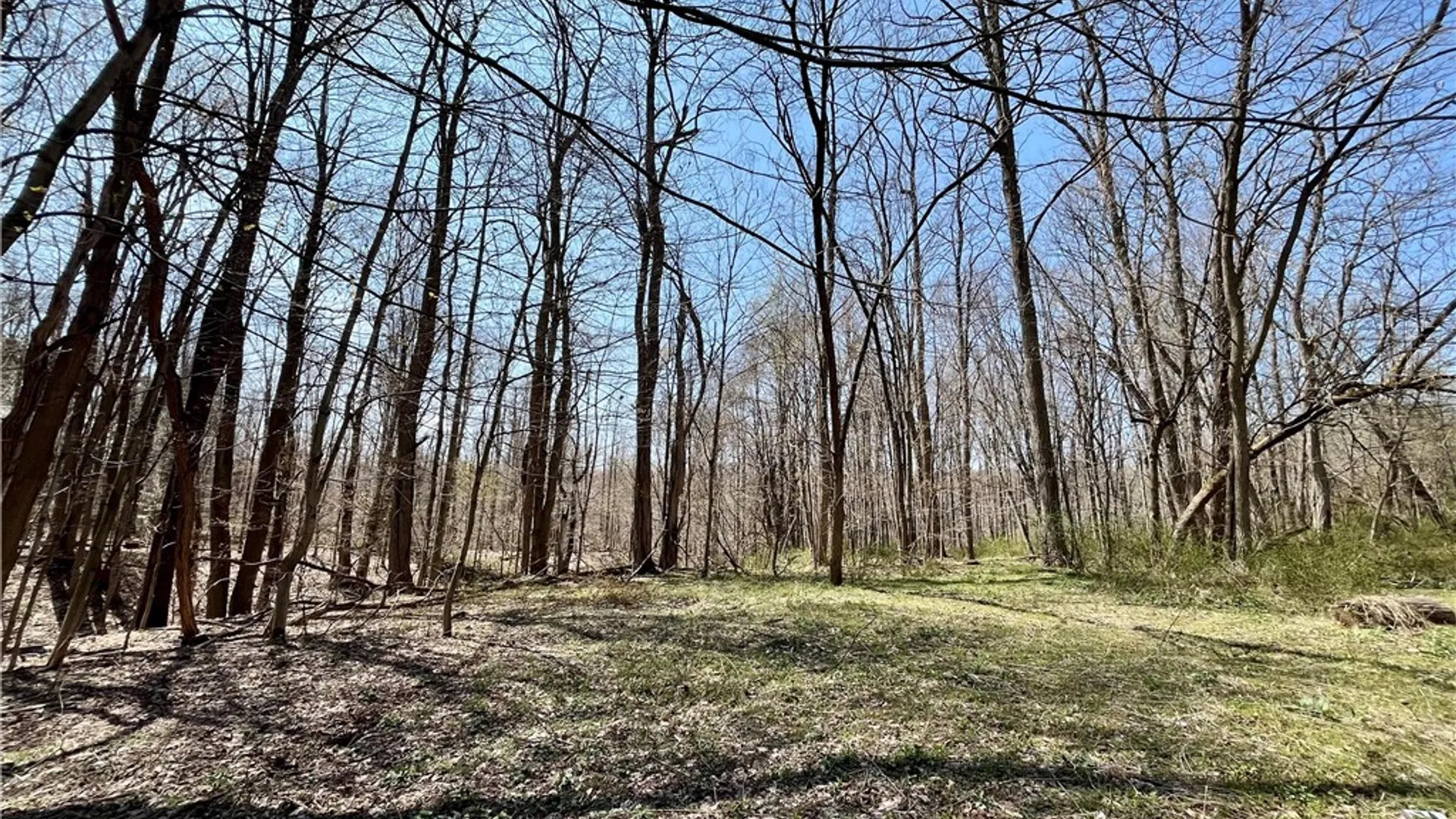 Property at 2011 Eno Road, Sterling, NY 13111 37