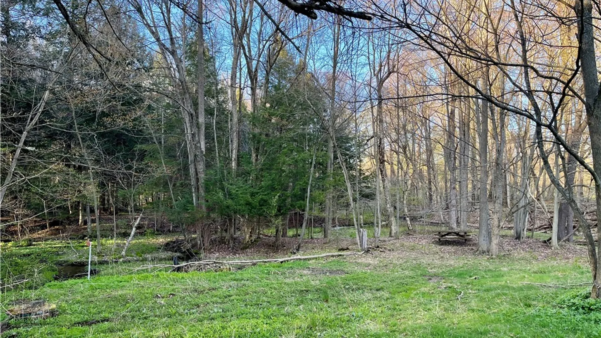 Property at 2011 Eno Road, Sterling, NY 13111 38