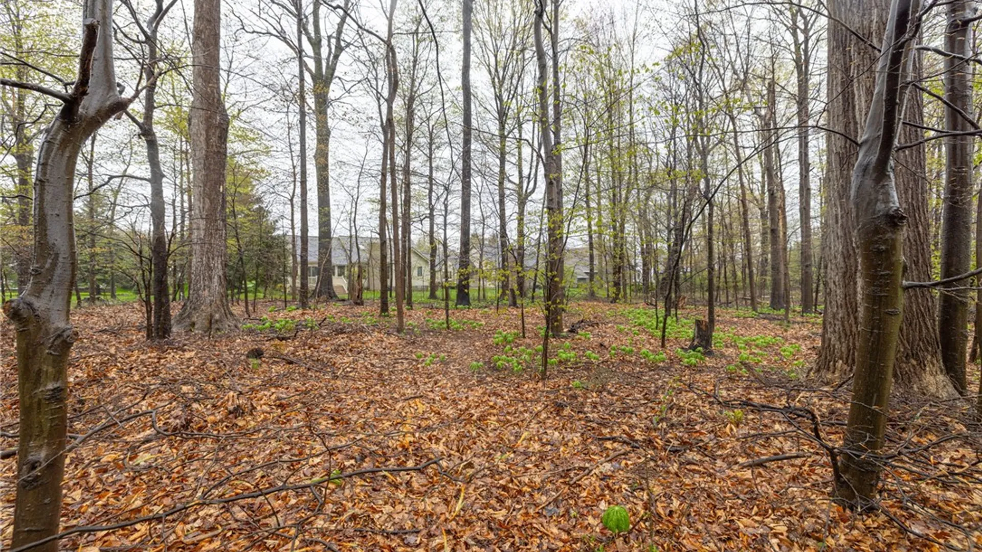 Property at 74 Brookline Lane, Greece, NY 14616 49