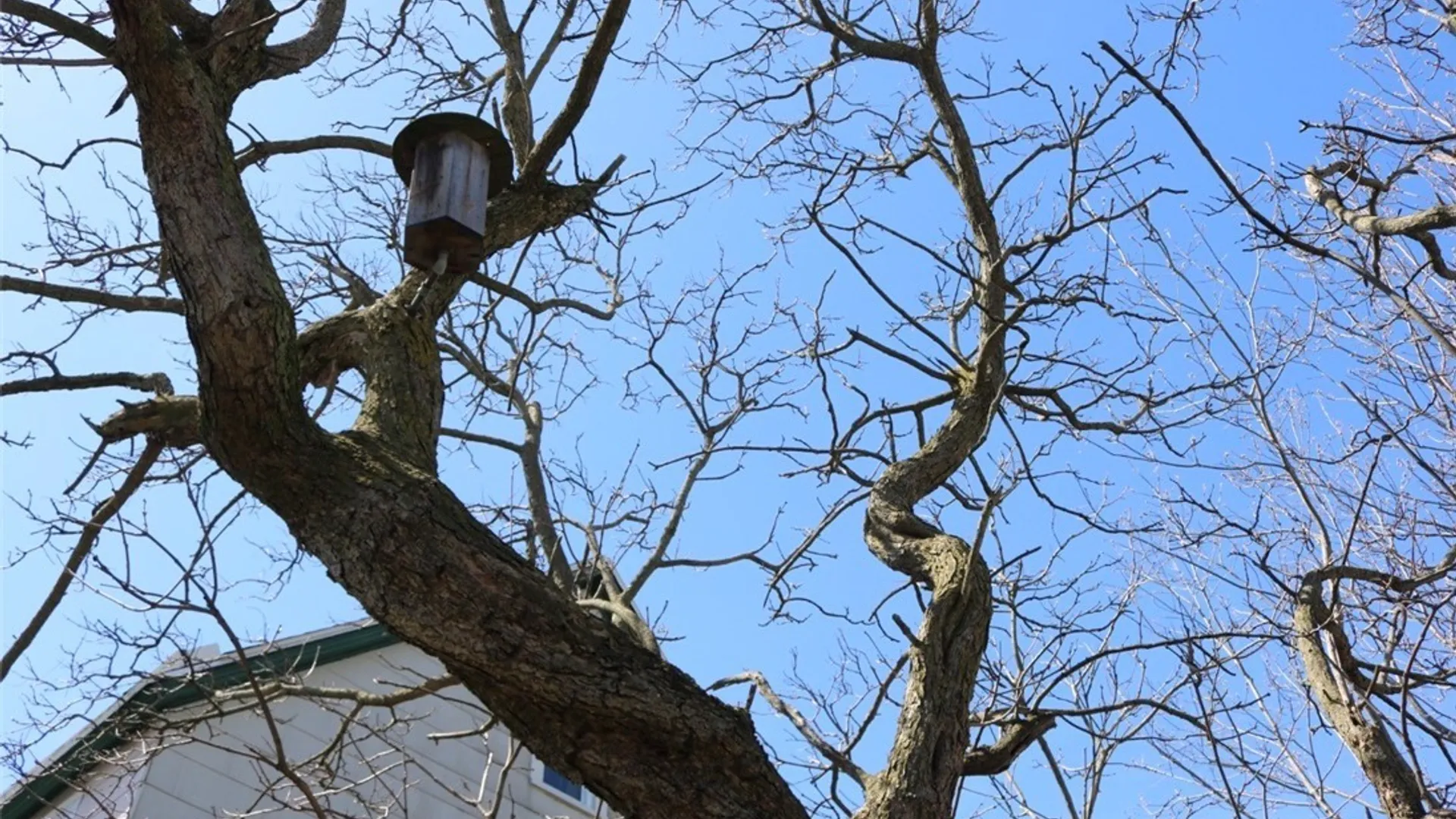 Property at 216 Metcalfe Street, Buffalo, NY 14206 13