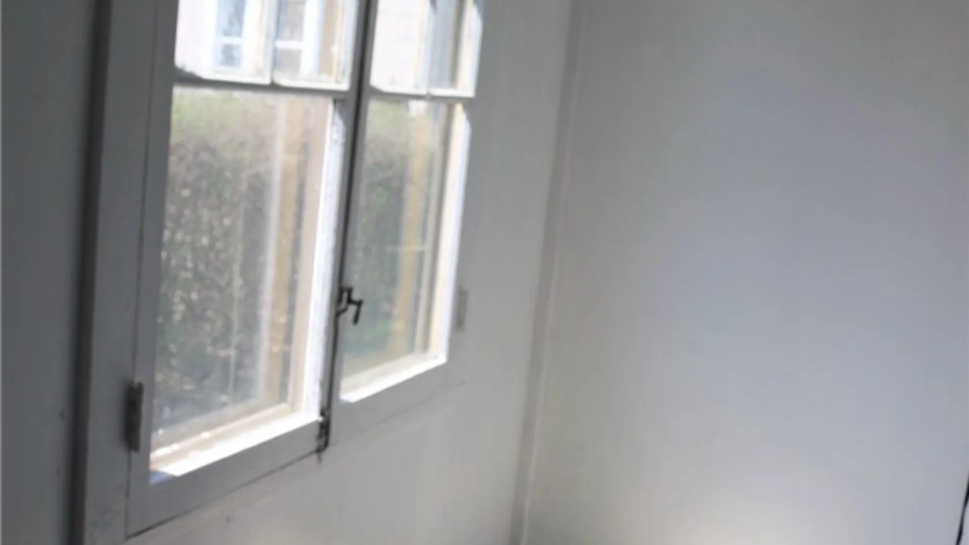 Property at 216 Metcalfe Street, Buffalo, NY 14206 38