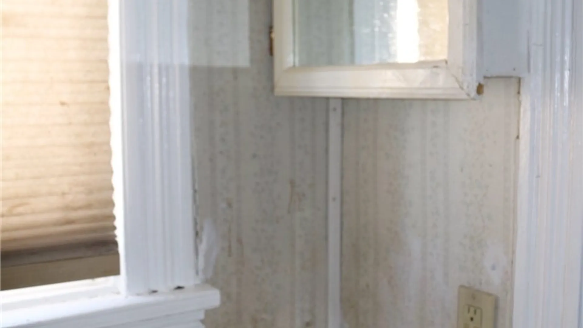 Property at 216 Metcalfe Street, Buffalo, NY 14206 39