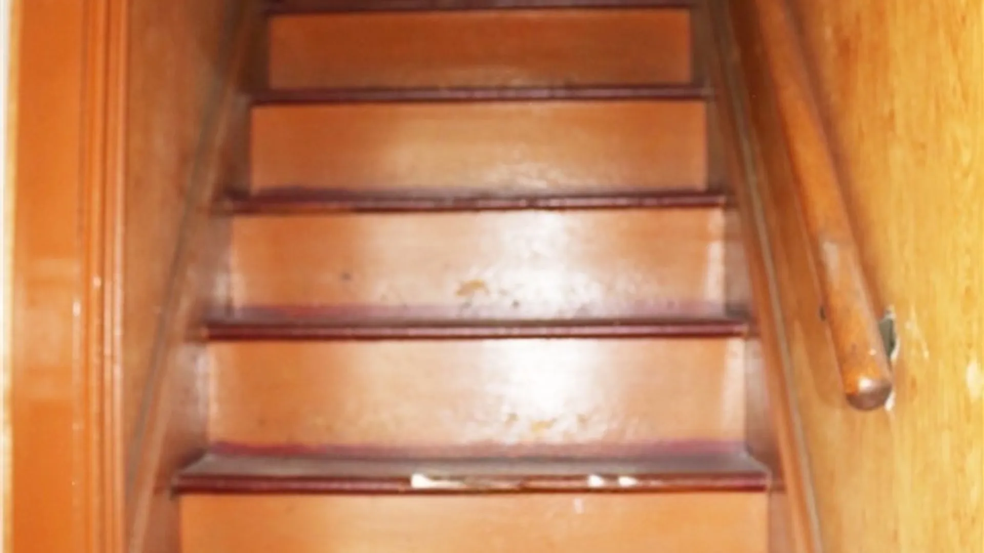 Property at 216 Metcalfe Street, Buffalo, NY 14206 41