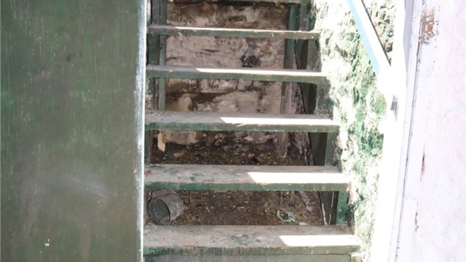 Property at 216 Metcalfe Street, Buffalo, NY 14206 49