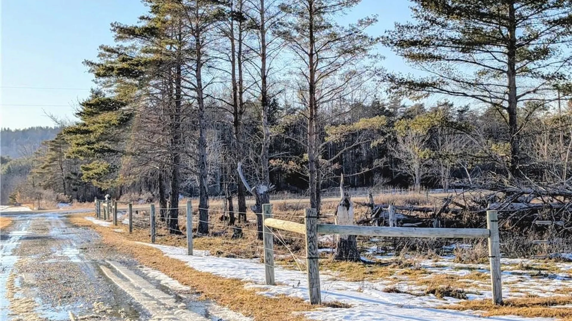 Property at 4300 Pump Station Road, Cameron, NY 14820 41