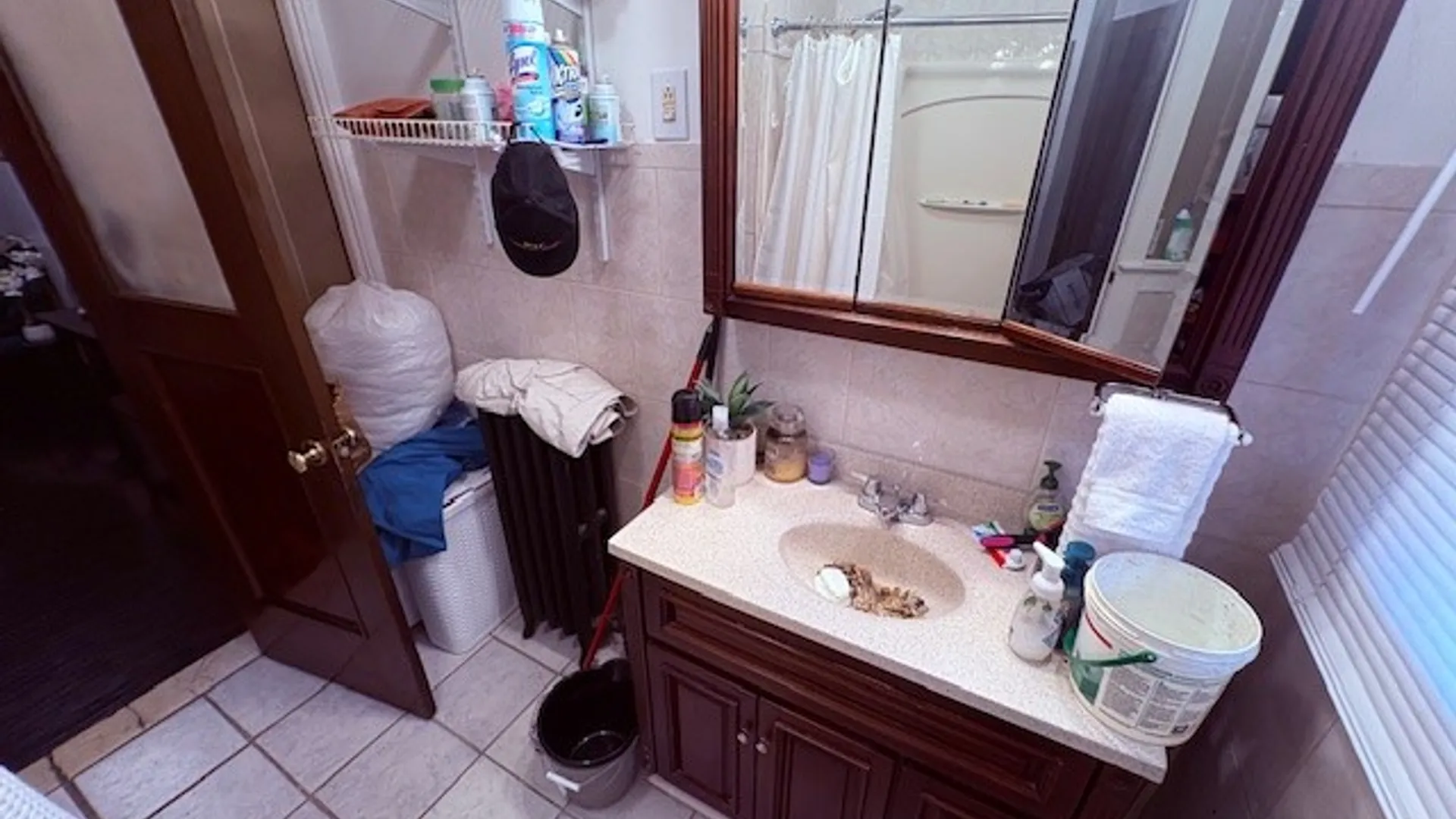 Property at 1239 Saint Paul Street, Rochester, NY 14621 20