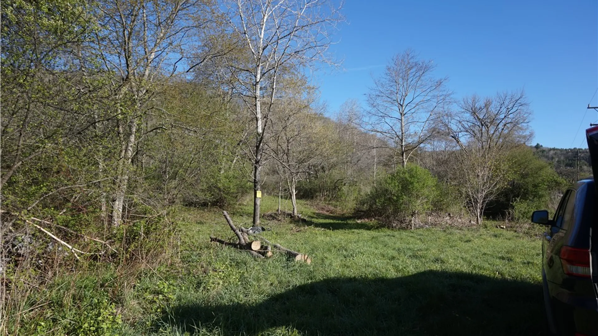 Property at Co Rd 40  (Reed St), Bolivar, NY 14715 12