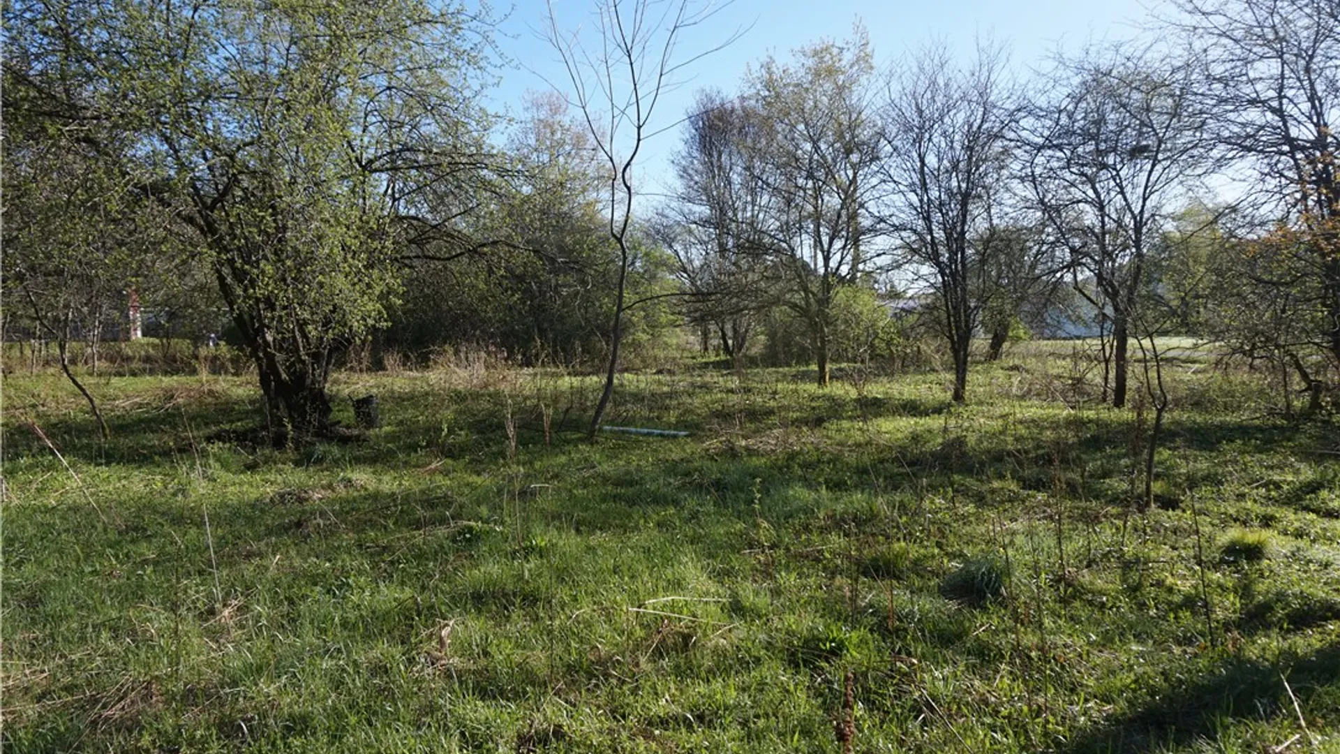Property at Co Rd 40  (Reed St), Bolivar, NY 14715 17