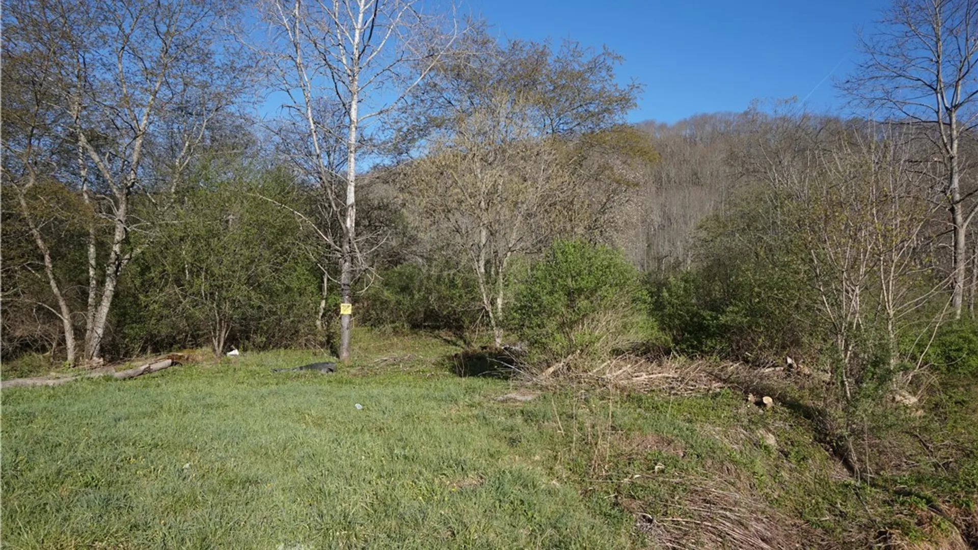Property at Co Rd 40  (Reed St), Bolivar, NY 14715 2