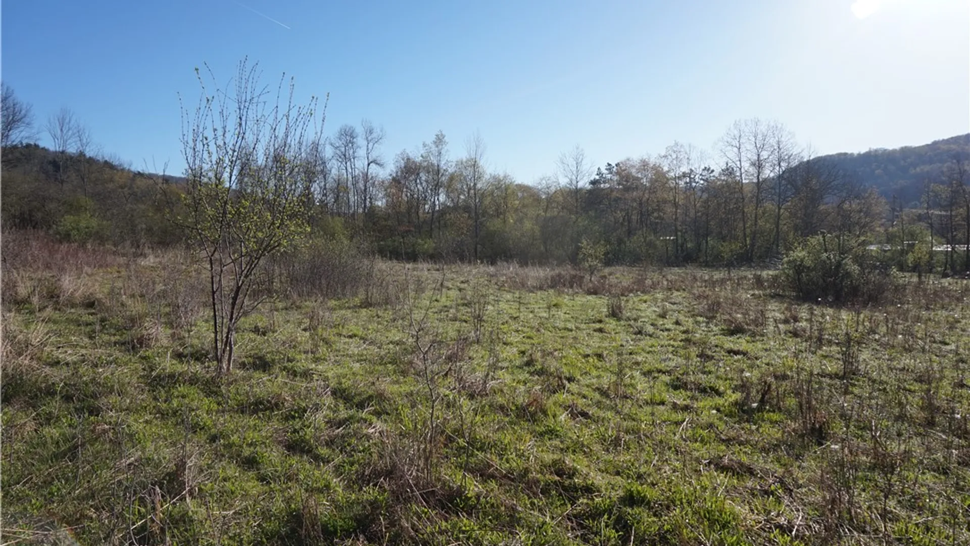 Property at Co Rd 40  (Reed St), Bolivar, NY 14715 4