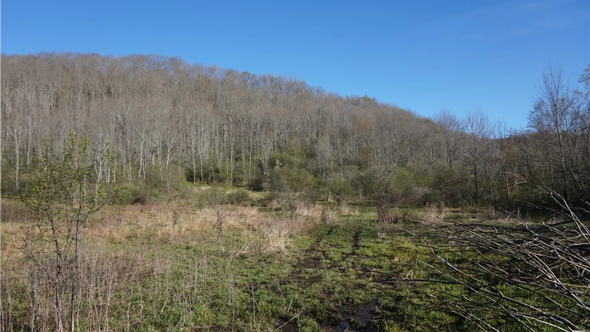 Property at Co Rd 40  (Reed St), Bolivar, NY 14715 9