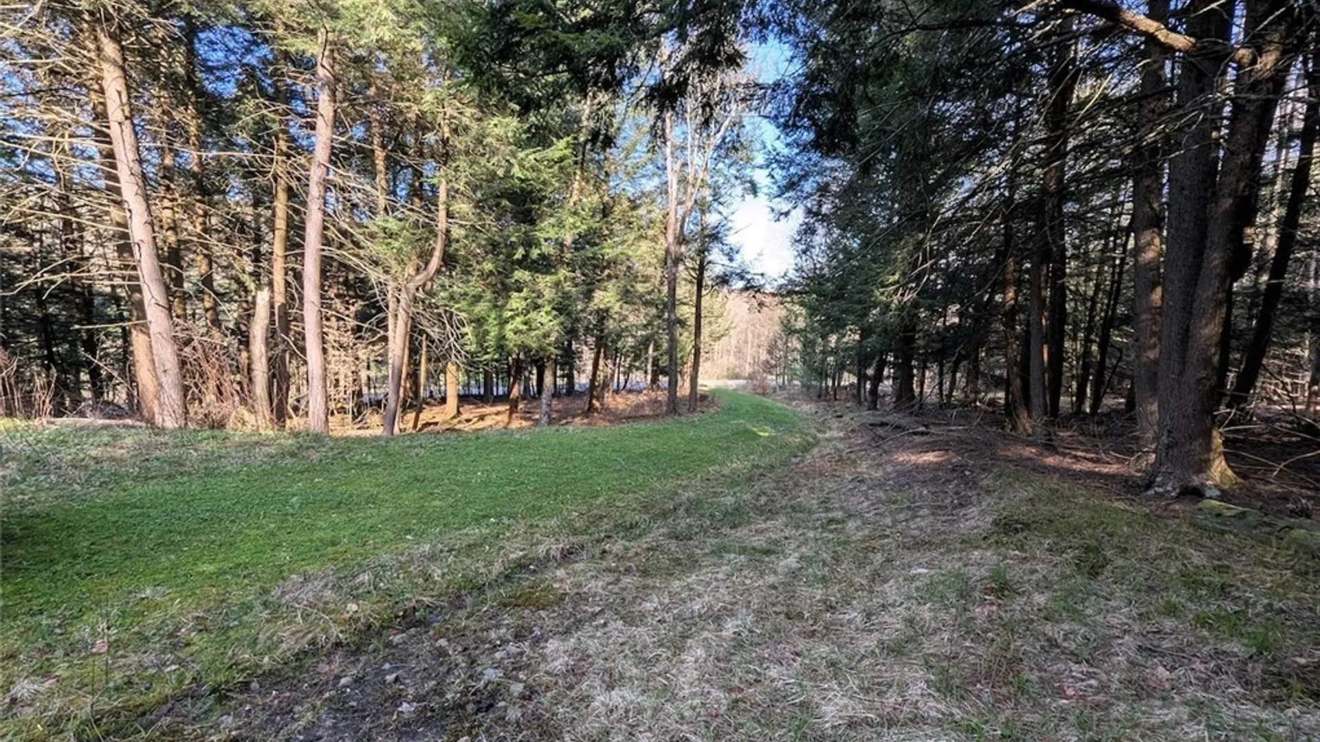Property at 2788 Williamson Road, Greenwood, NY 14839 11