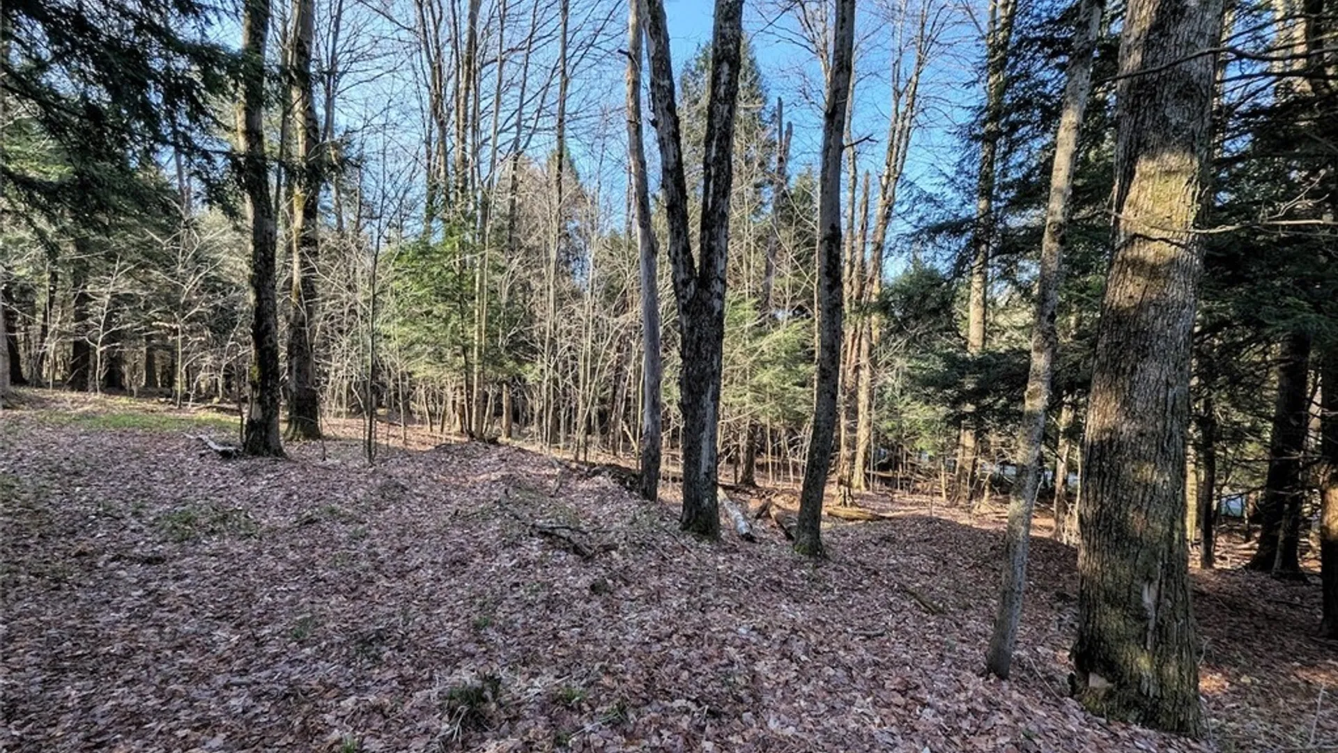 Property at 2788 Williamson Road, Greenwood, NY 14839 13