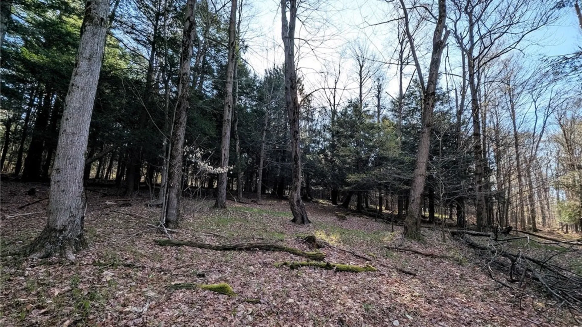 Property at 2788 Williamson Road, Greenwood, NY 14839 14