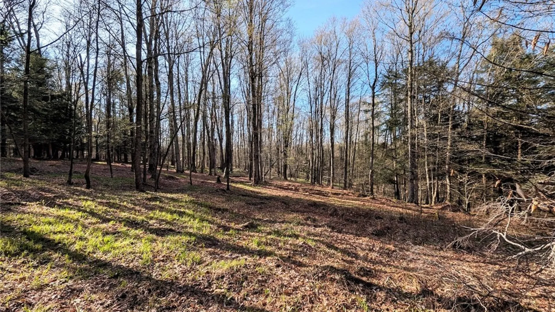 Property at 2788 Williamson Road, Greenwood, NY 14839 15