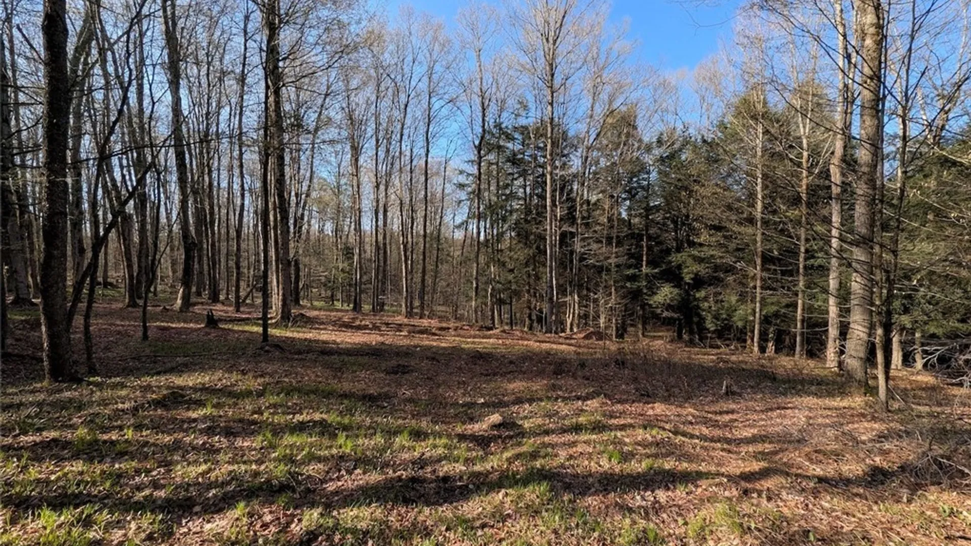 Property at 2788 Williamson Road, Greenwood, NY 14839 16