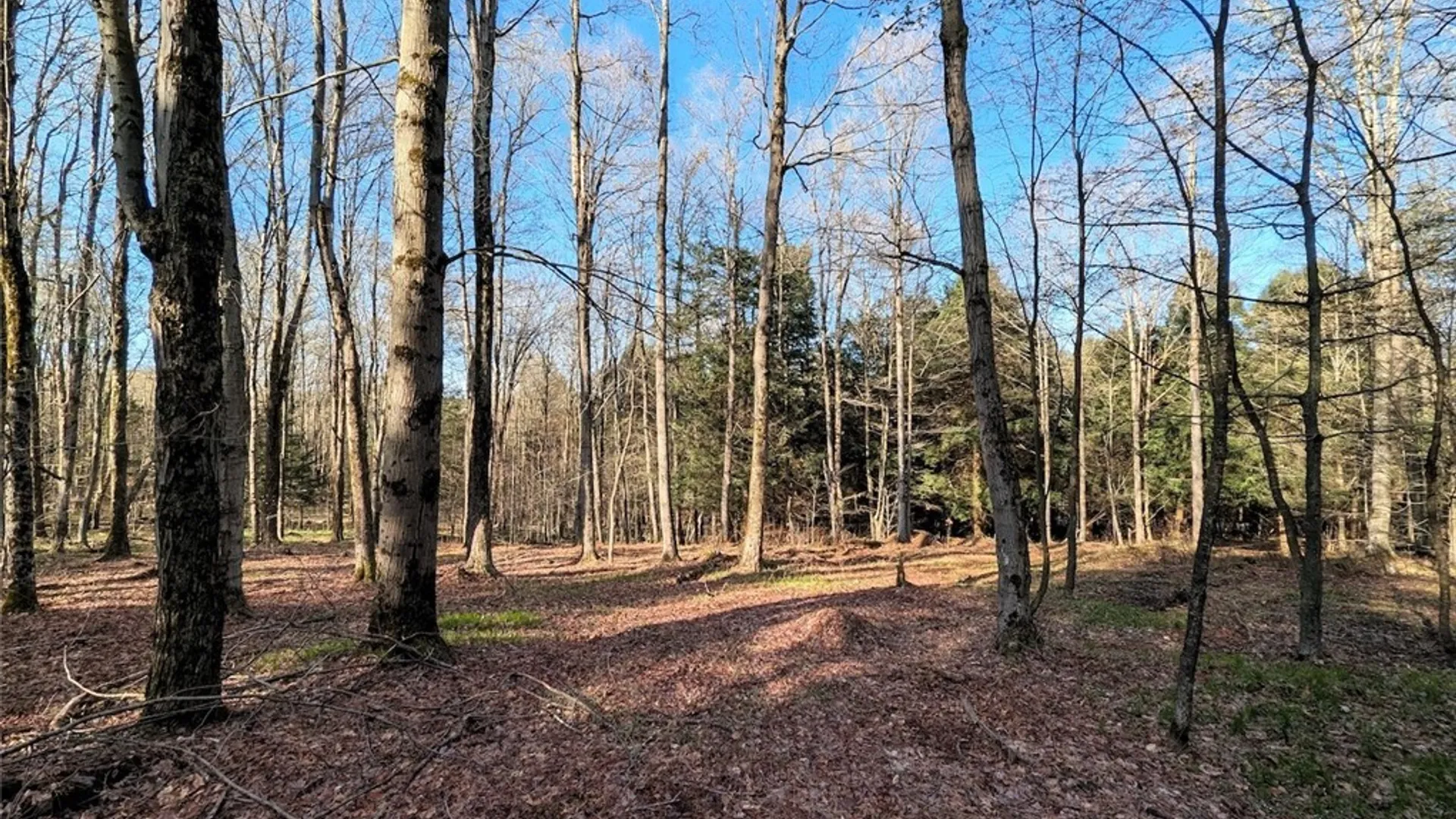 Property at 2788 Williamson Road, Greenwood, NY 14839 17