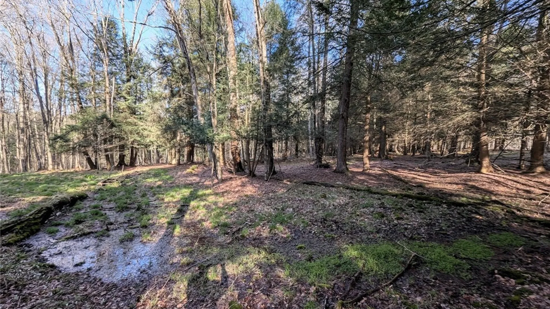 Property at 2788 Williamson Road, Greenwood, NY 14839 18
