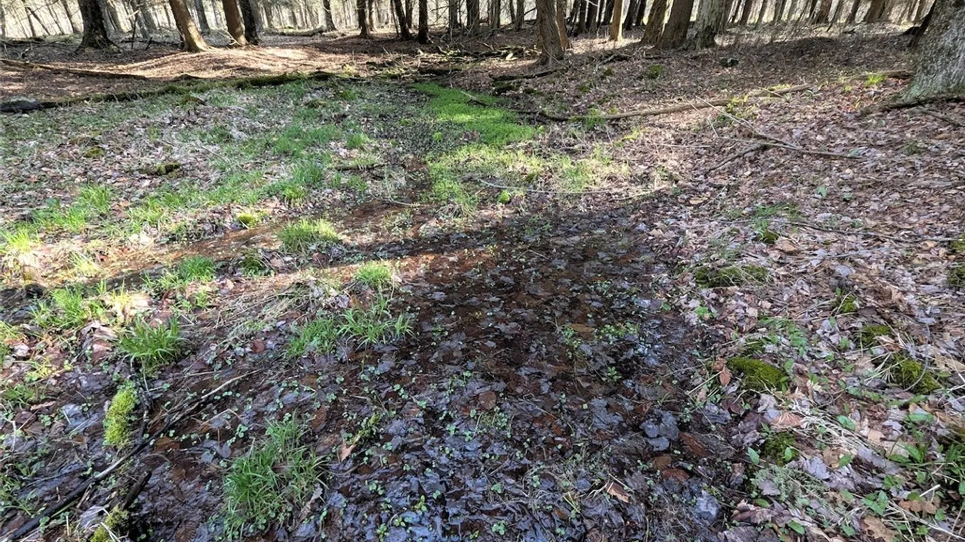 Property at 2788 Williamson Road, Greenwood, NY 14839 19