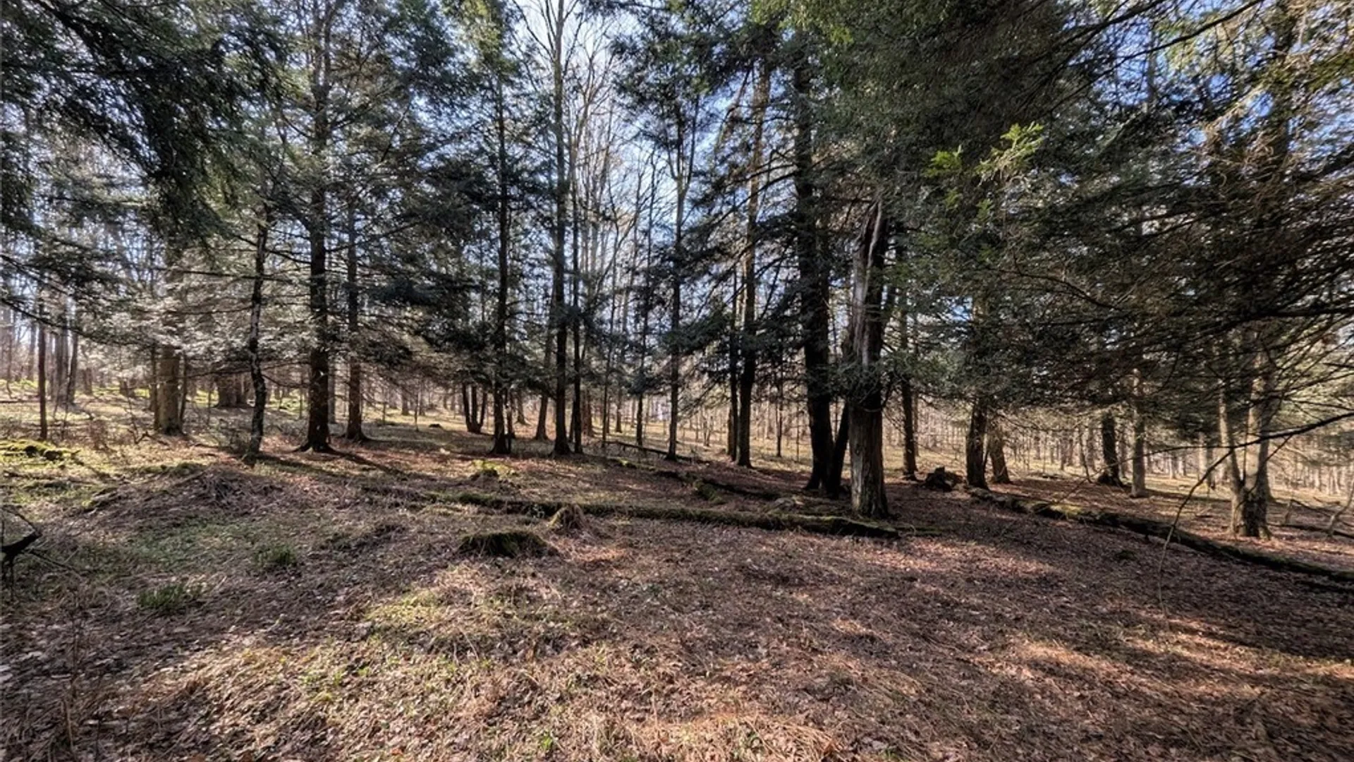 Property at 2788 Williamson Road, Greenwood, NY 14839 20