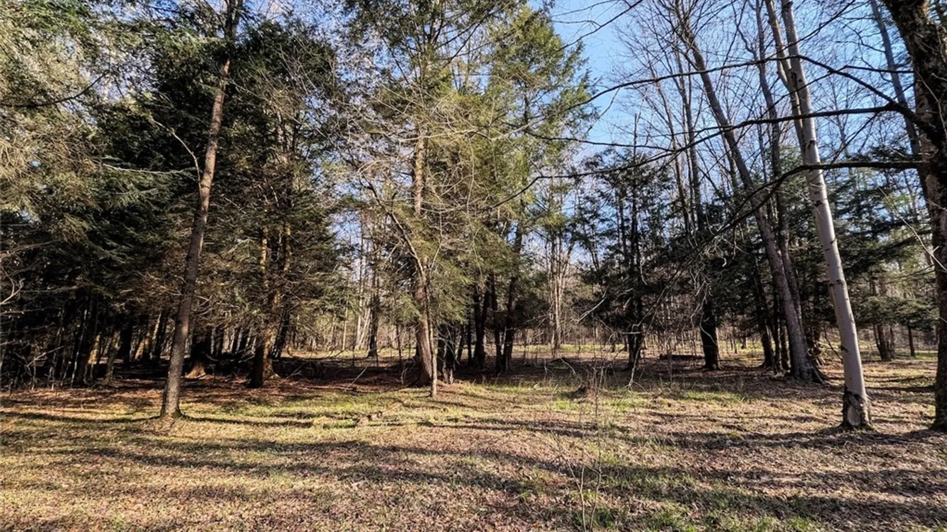 Property at 2788 Williamson Road, Greenwood, NY 14839 21