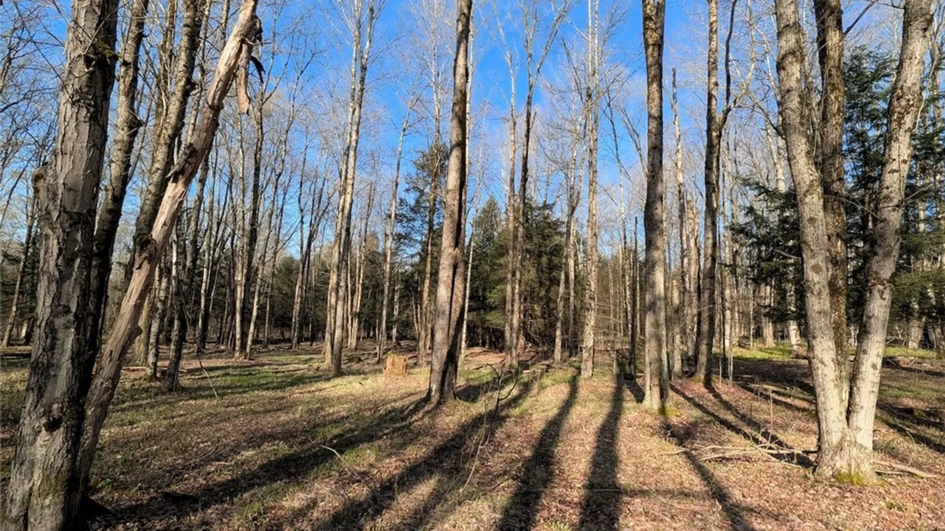 Property at 2788 Williamson Road, Greenwood, NY 14839 22