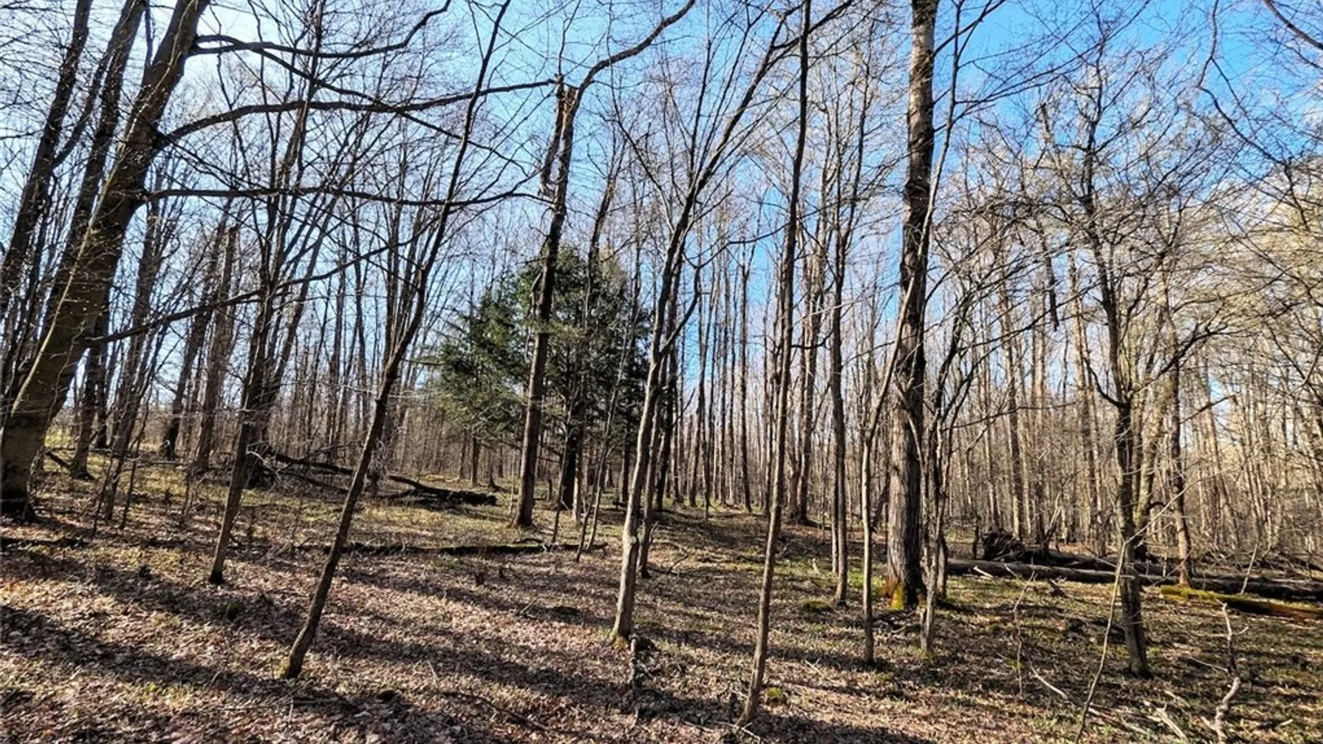 Property at 2788 Williamson Road, Greenwood, NY 14839 24