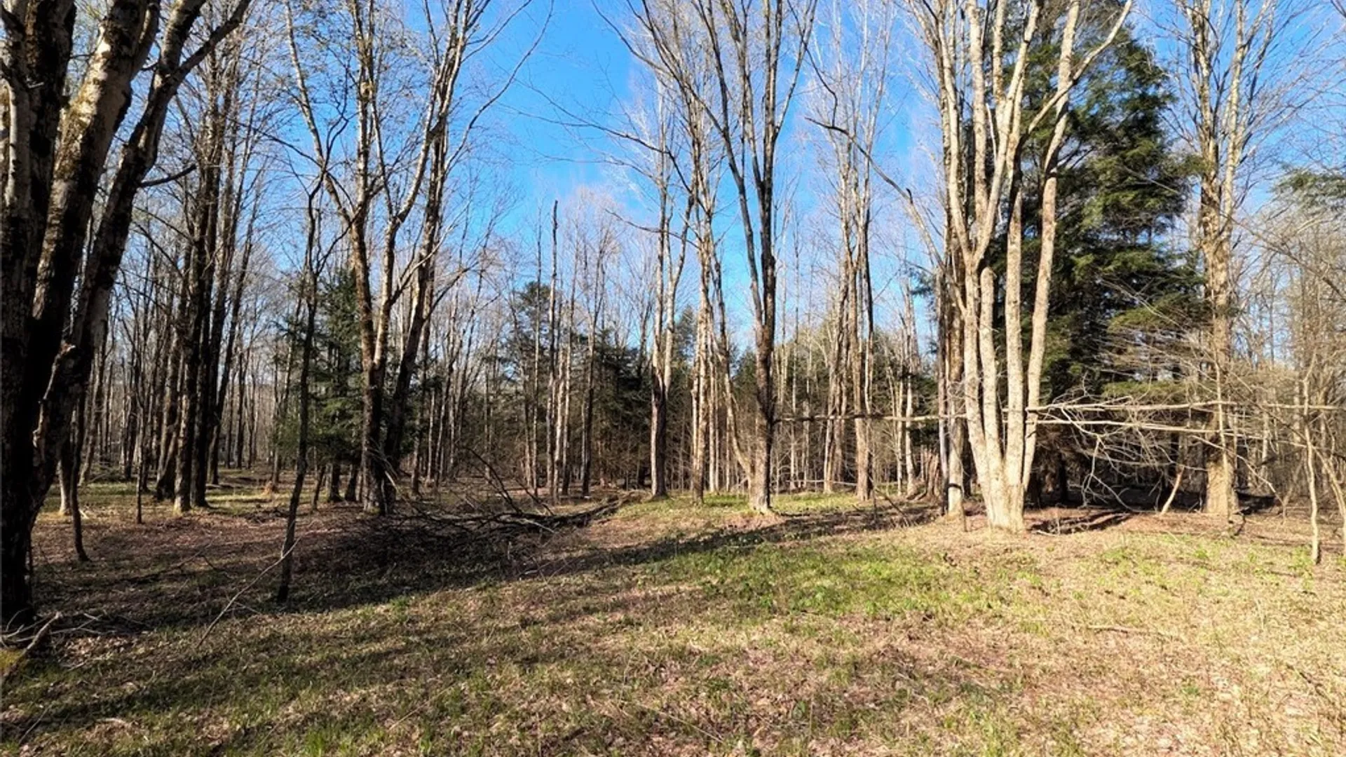 Property at 2788 Williamson Road, Greenwood, NY 14839 25