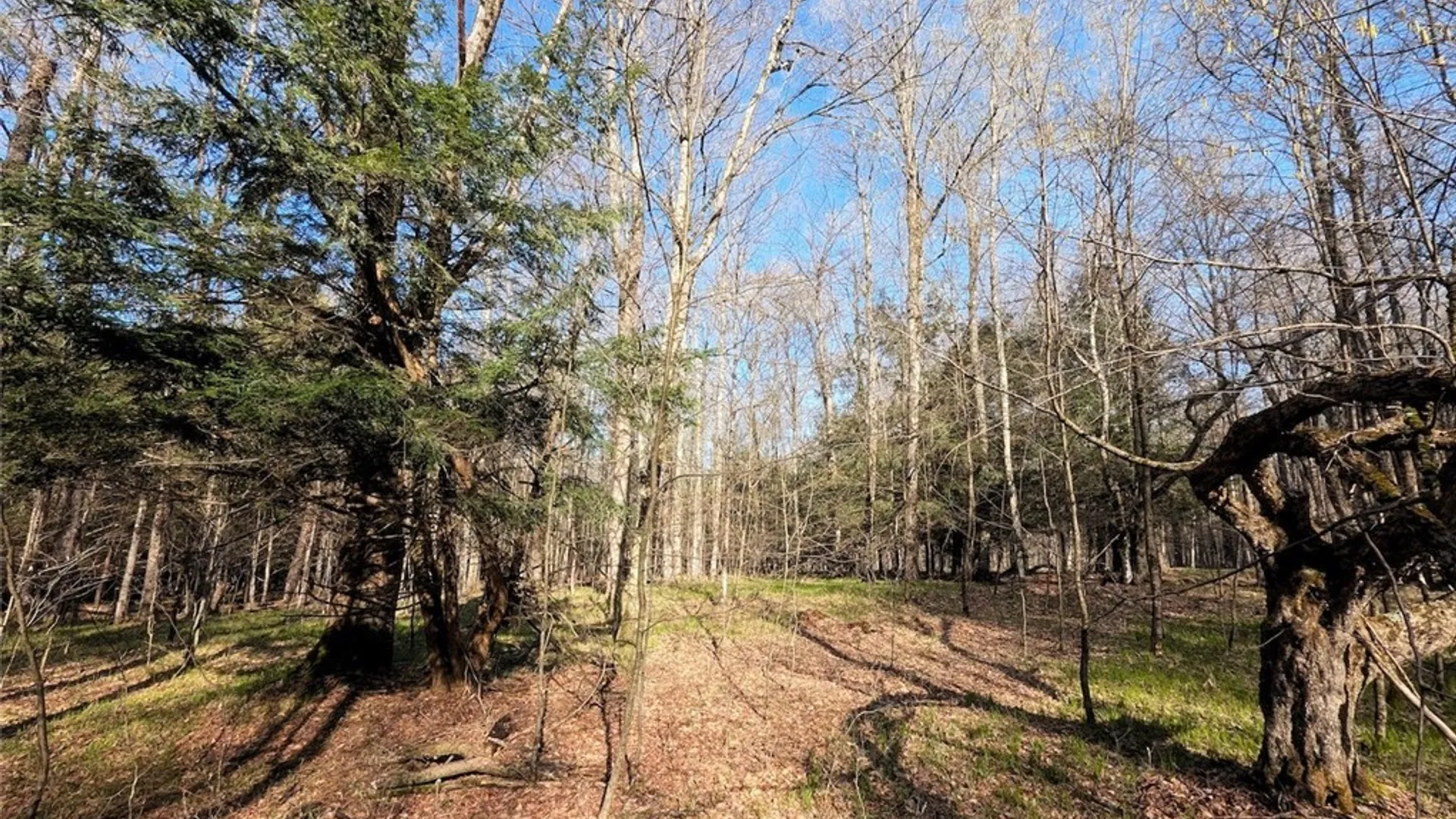 Property at 2788 Williamson Road, Greenwood, NY 14839 26