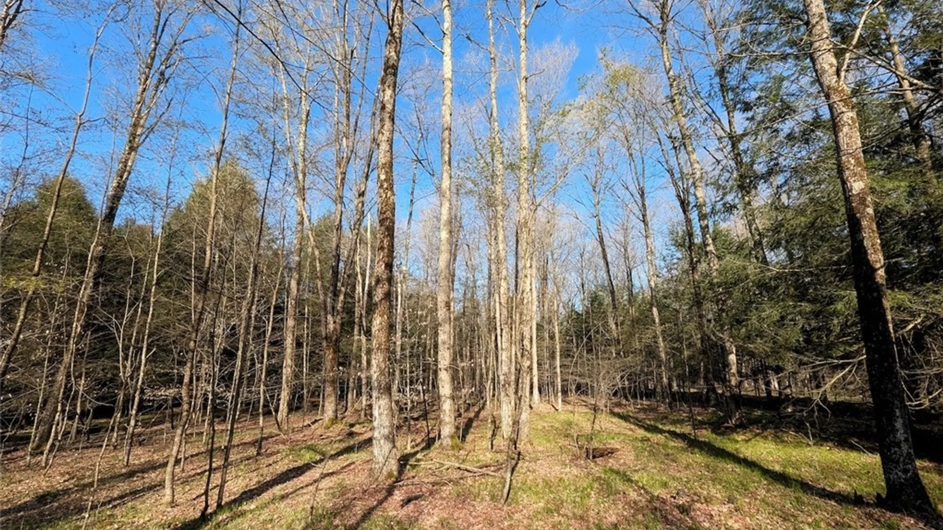 Property at 2788 Williamson Road, Greenwood, NY 14839 27