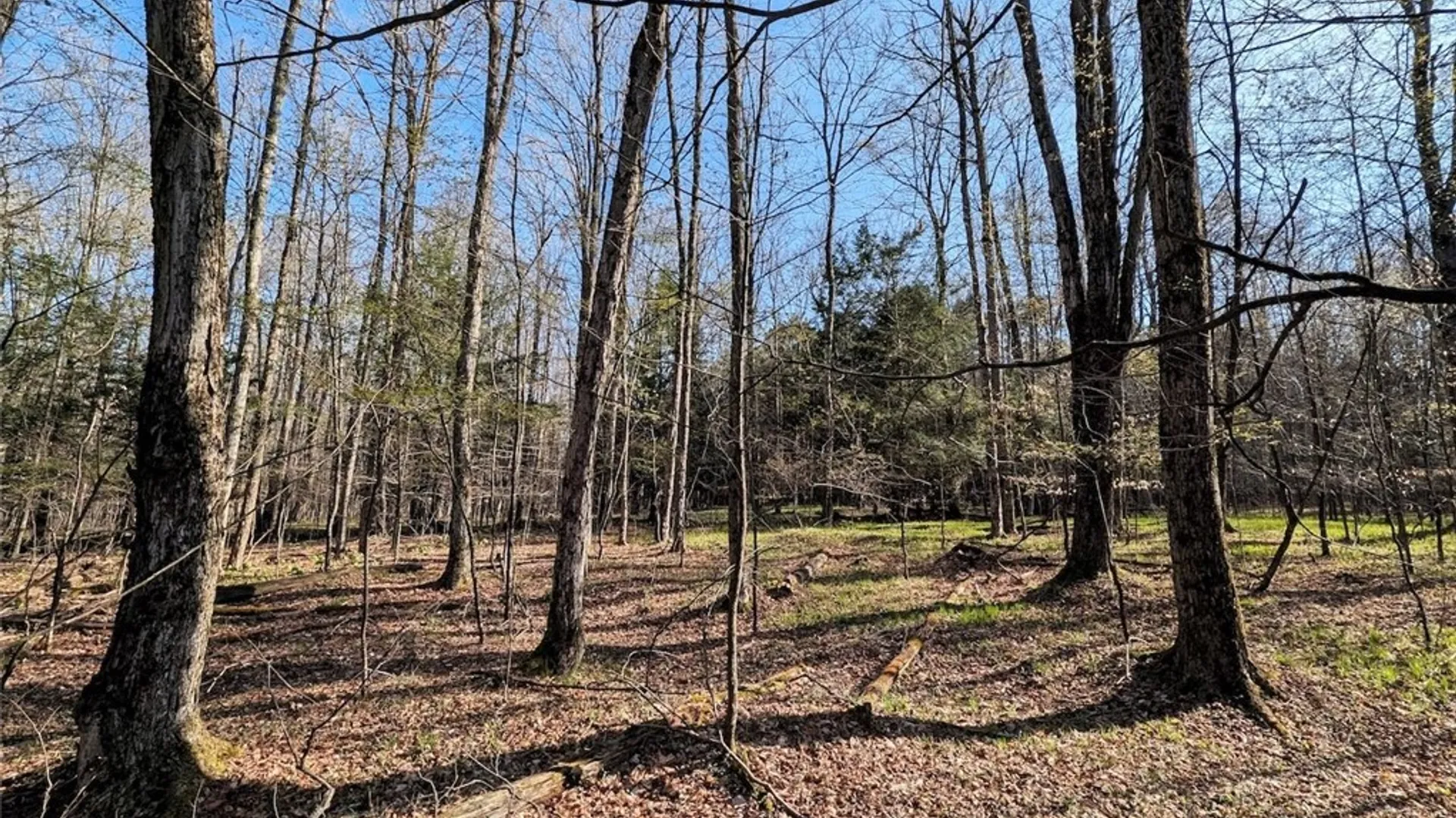 Property at 2788 Williamson Road, Greenwood, NY 14839 28