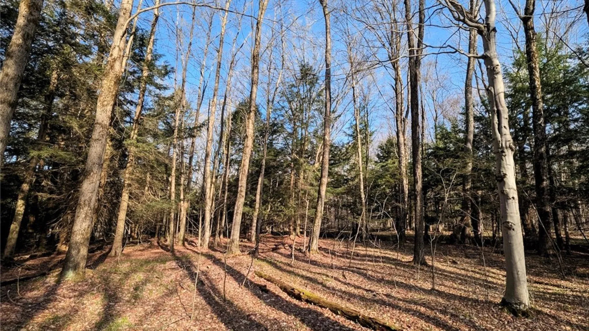 Property at 2788 Williamson Road, Greenwood, NY 14839 29