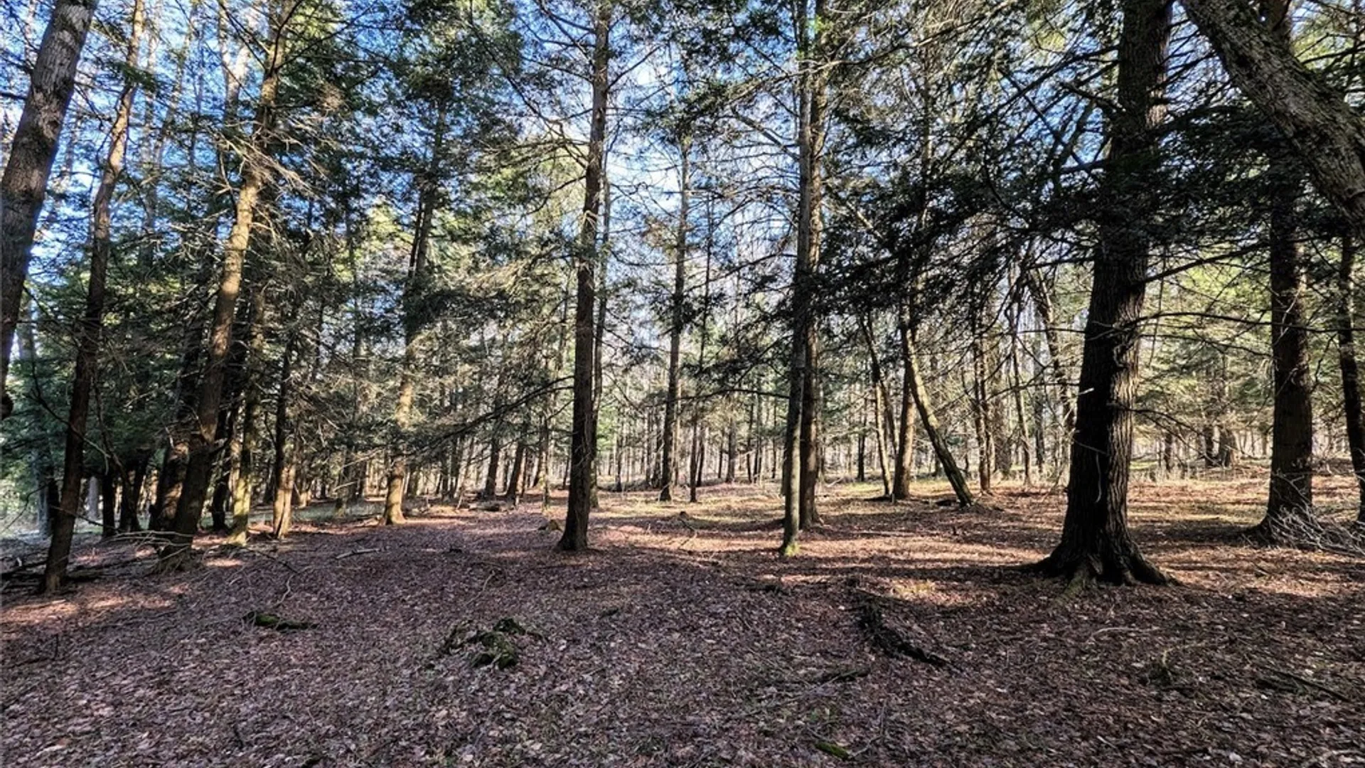 Property at 2788 Williamson Road, Greenwood, NY 14839 31