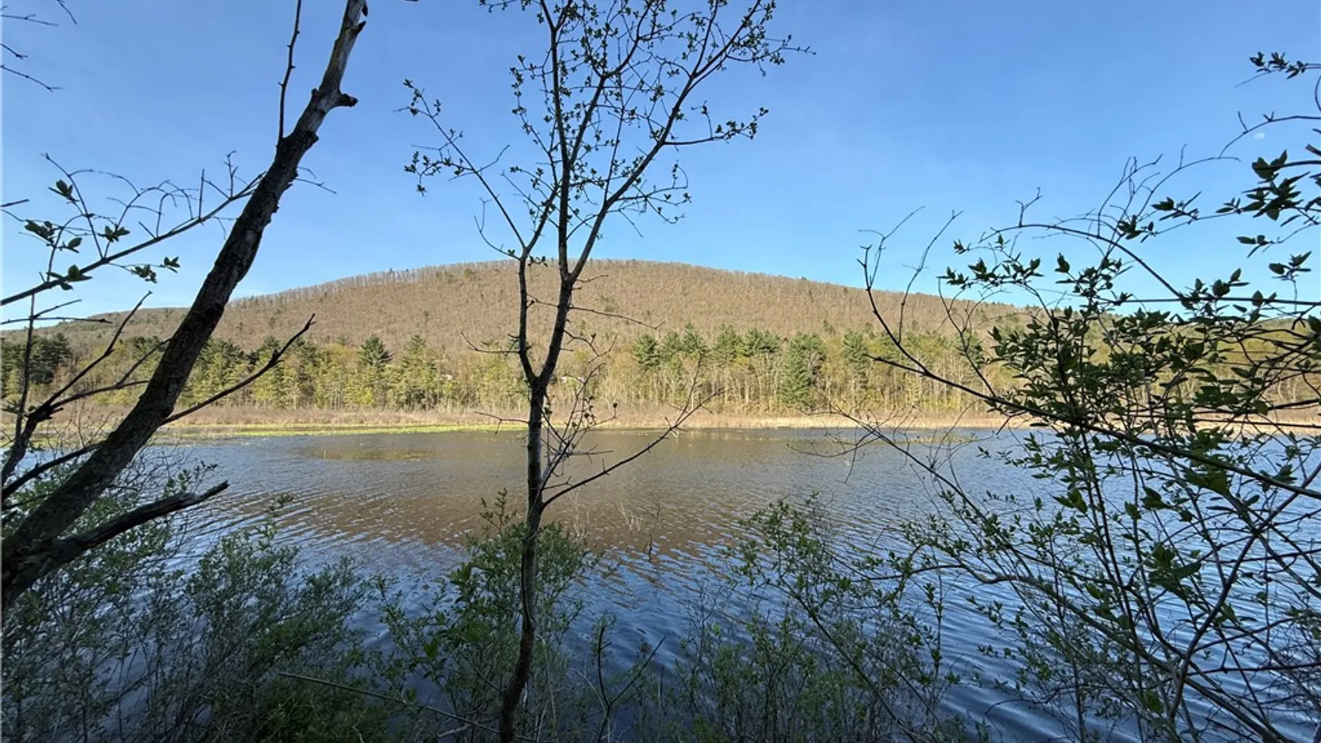Property at 2111 Coddington Road, Caroline, NY 14817 44