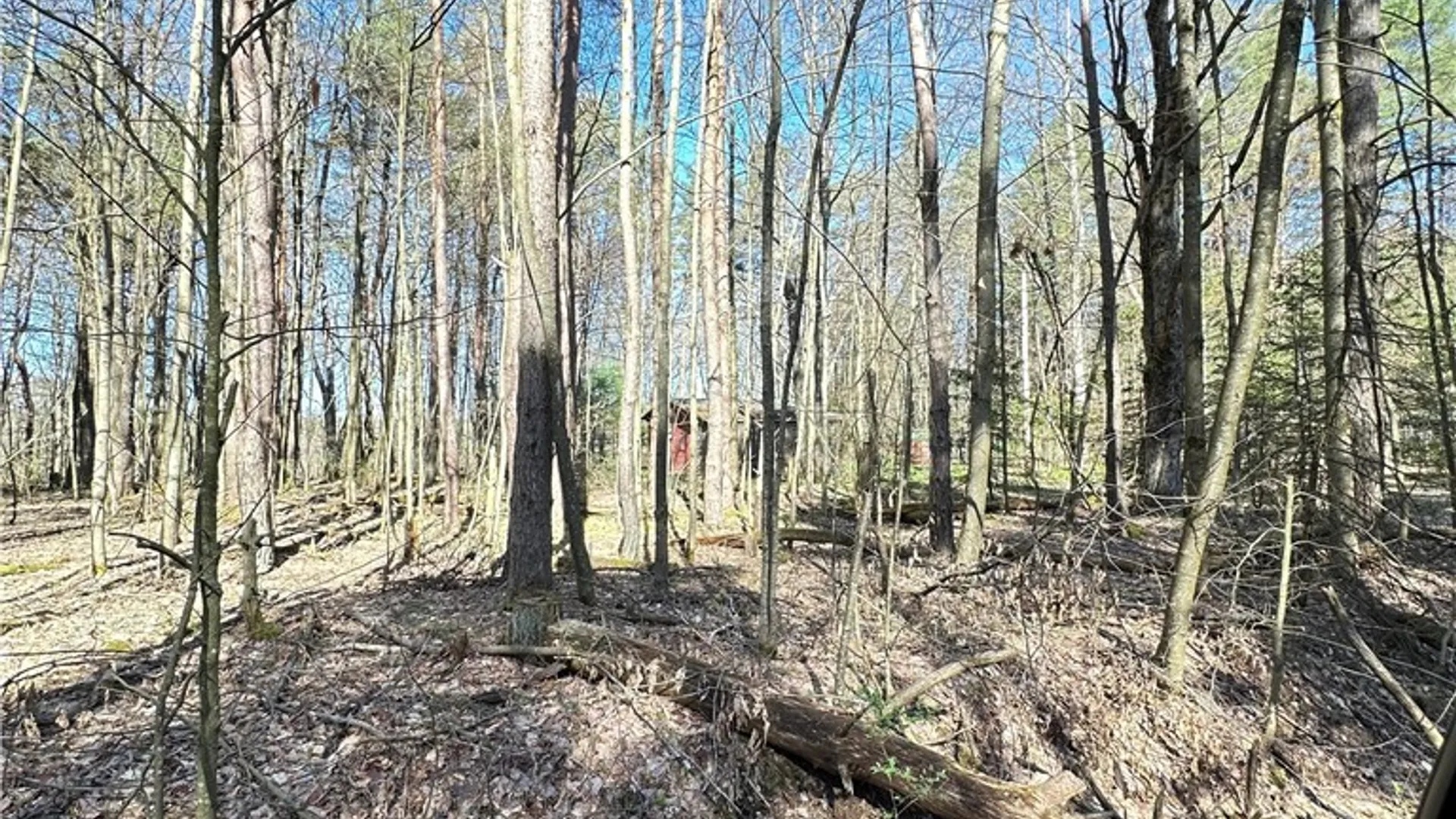 Property at 3631 Pine Ridge Road, Clarksville, NY 14727 25