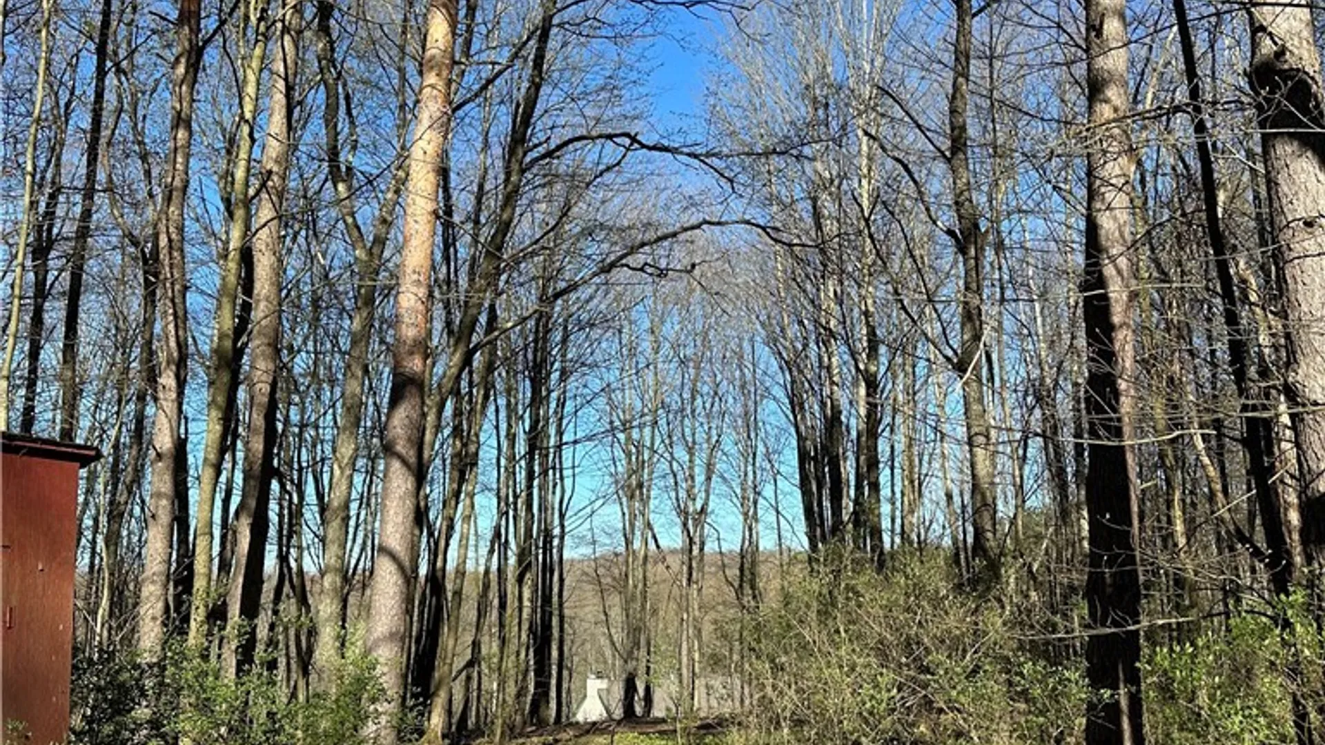 Property at 3631 Pine Ridge Road, Clarksville, NY 14727 30