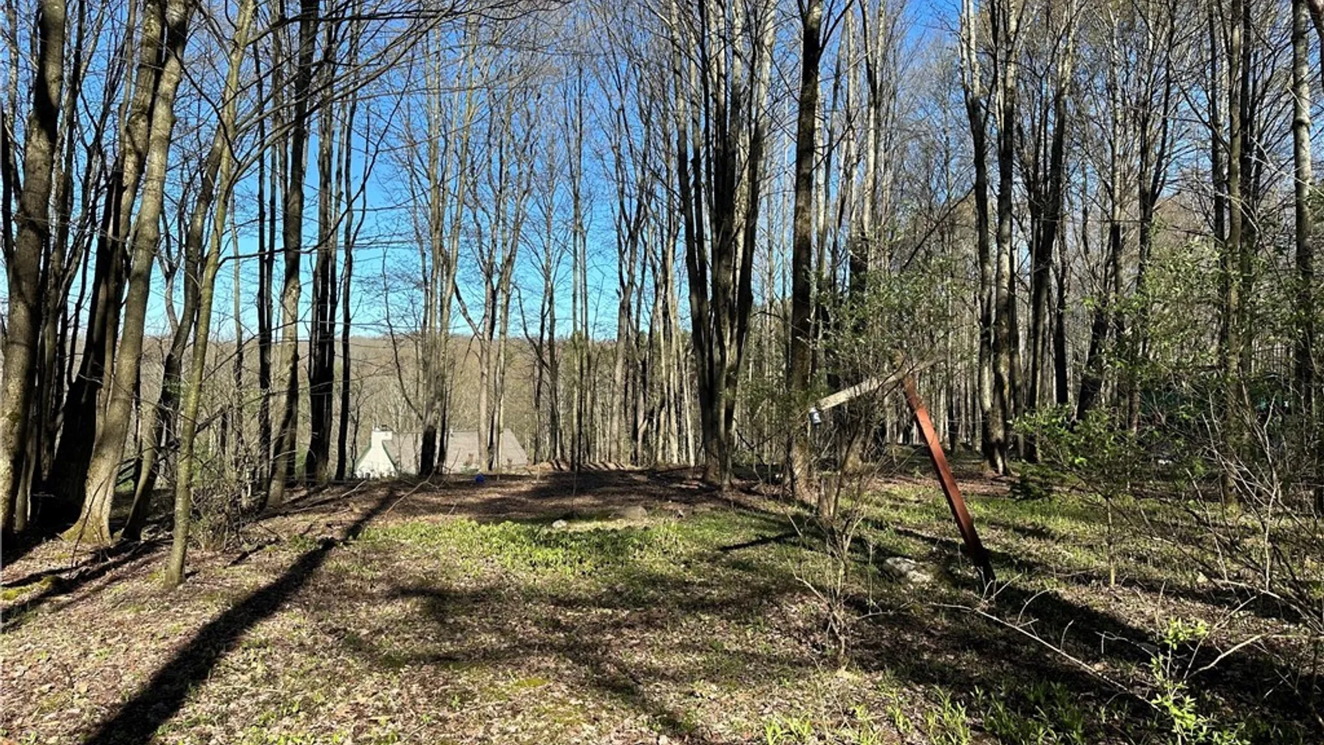 Property at 3631 Pine Ridge Road, Clarksville, NY 14727 31