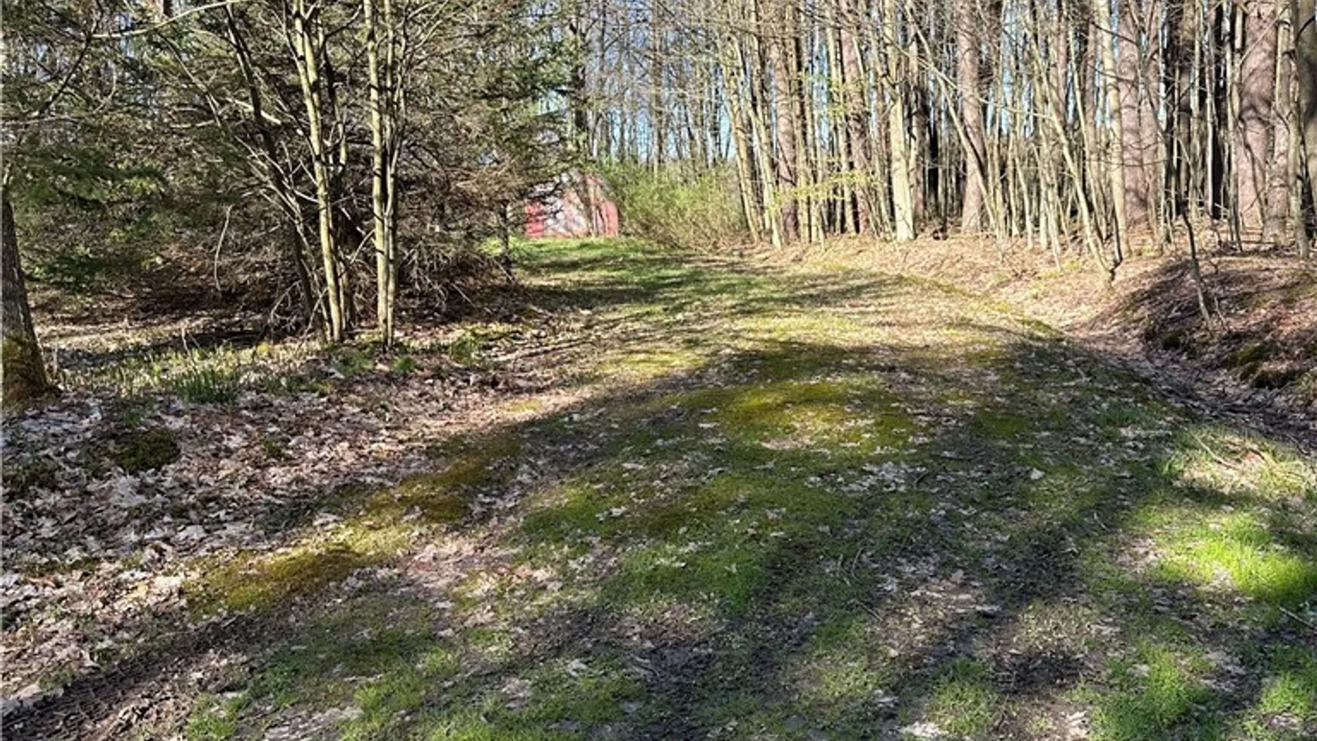 Property at 3631 Pine Ridge Road, Clarksville, NY 14727 7